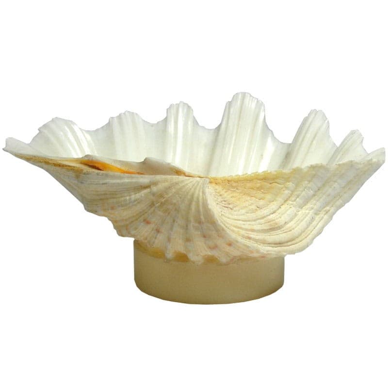 Decorative sculpture, natural shell, cream acrylic, 2000s. - 323681