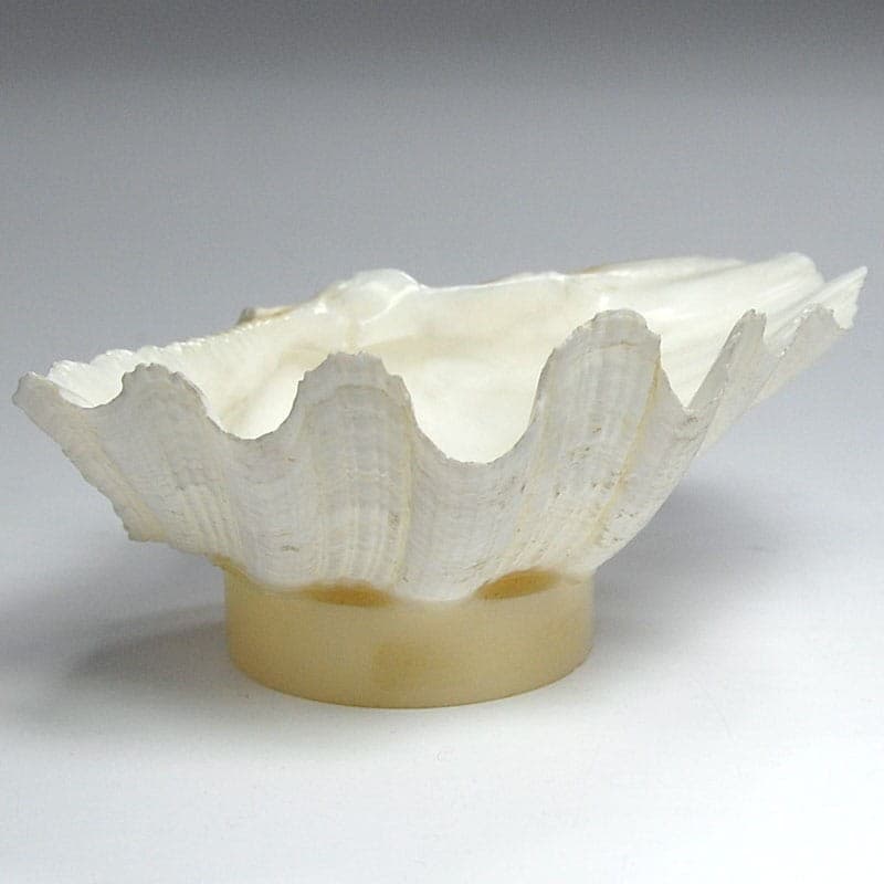 Decorative sculpture, natural shell, cream acrylic, 2000s. - 323679