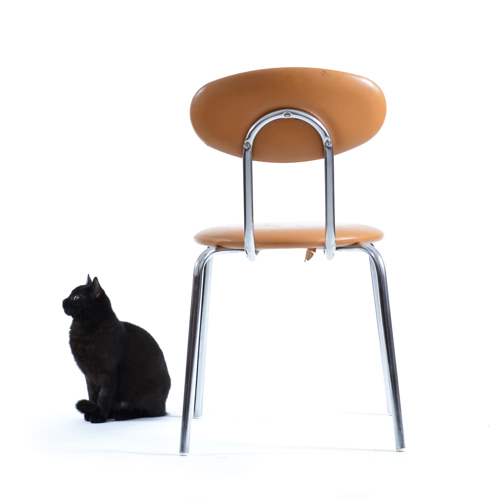 Chair, beige faux leather, chrome, Kovona, Czechoslovakia, 1970s. - 333113