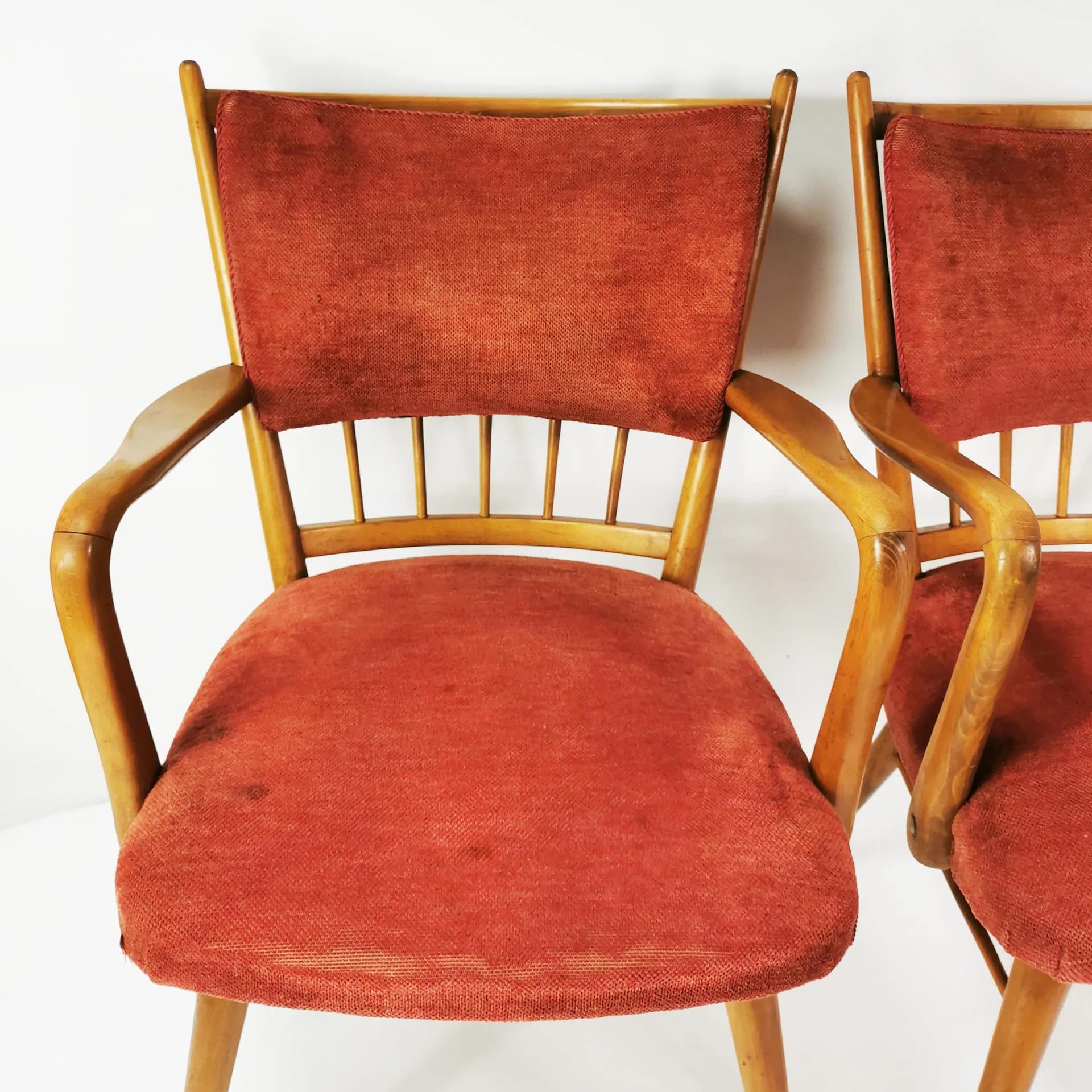 Para foteli Mid Century, buk brązowy, tkanina czerwona, Casala, Niemcy, lata 50. - 337144