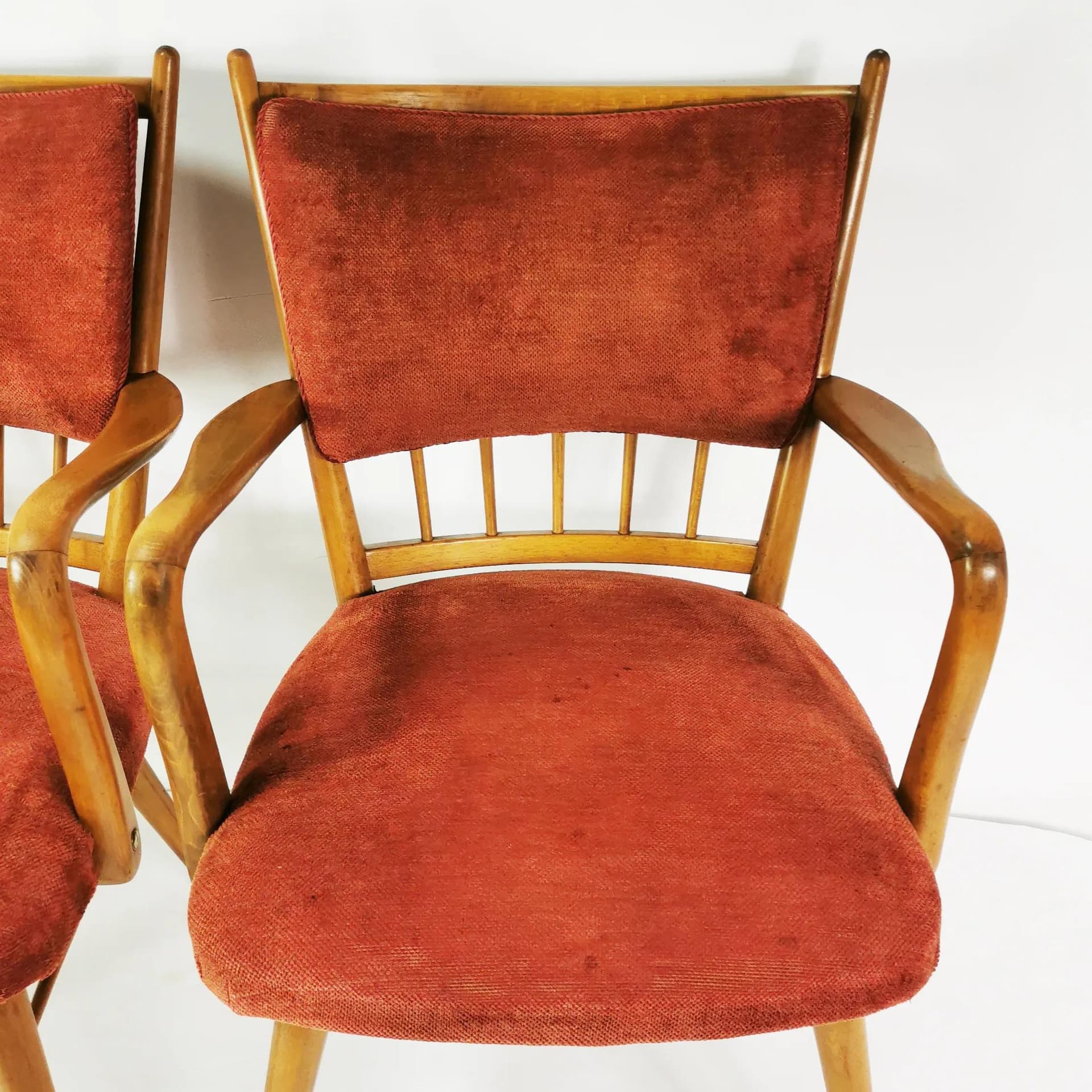 Para foteli Mid Century, buk brązowy, tkanina czerwona, Casala, Niemcy, lata 50. - 337145