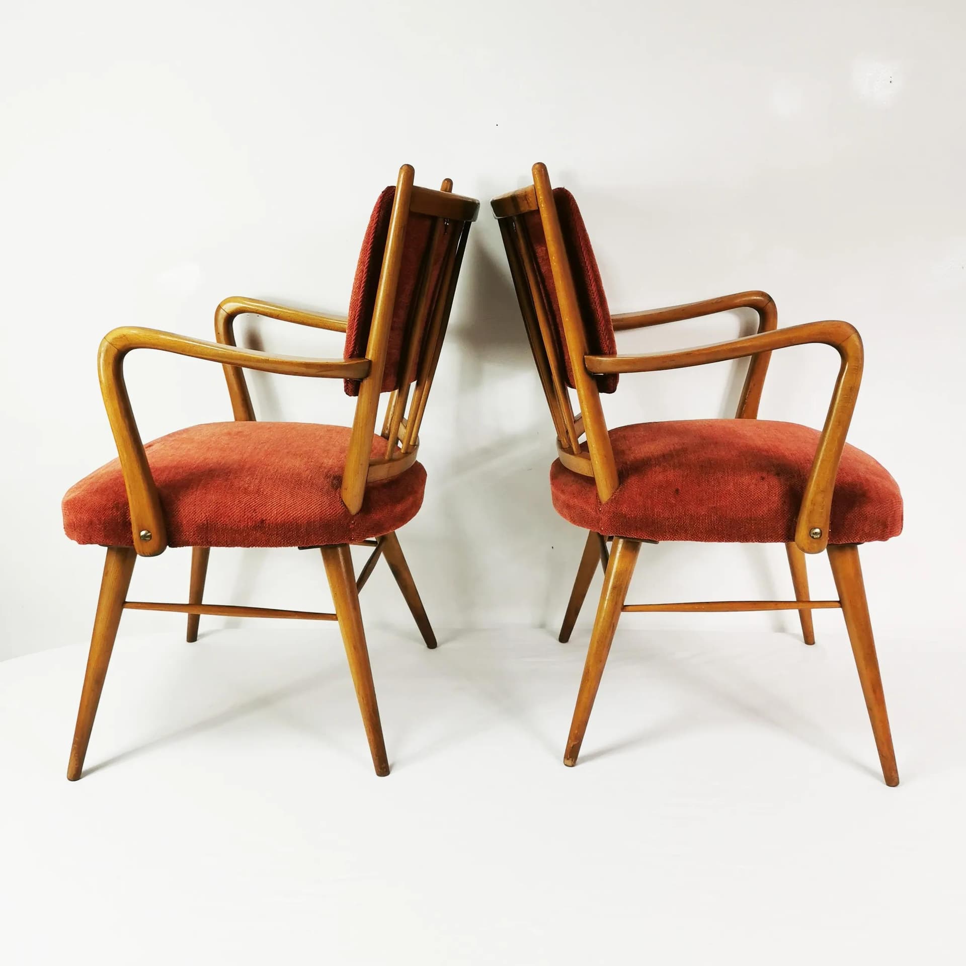 Para foteli Mid Century, buk brązowy, tkanina czerwona, Casala, Niemcy, lata 50. - 337135