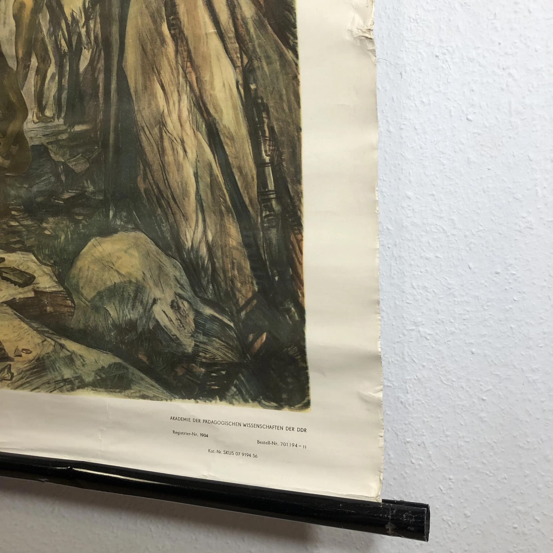 Tablica edukacyjna, Człowiek wyprostowany, multikolor, papier, Niemcy, lata 70., 116x75cm - 25169