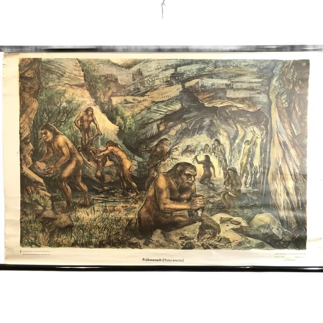 Tablica edukacyjna, Człowiek wyprostowany, multikolor, papier, Niemcy, lata 70., 116x75cm - WYMIARY