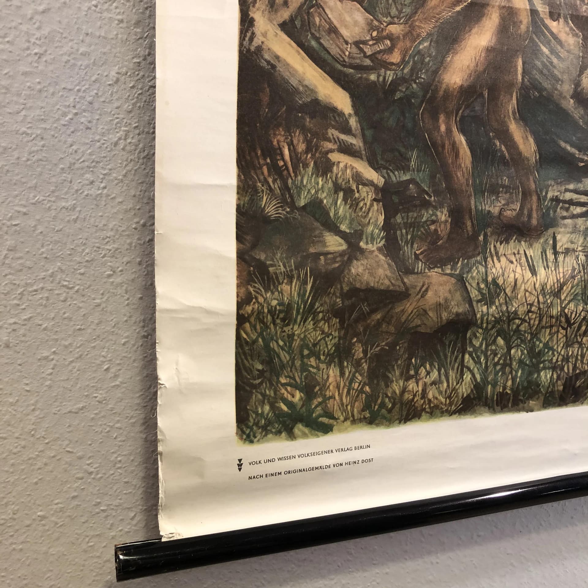 Tablica edukacyjna, Człowiek wyprostowany, multikolor, papier, Niemcy, lata 70., 116x75cm - 25170