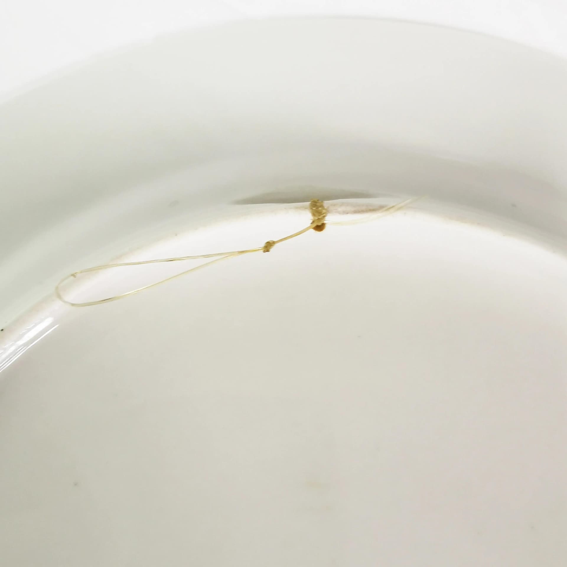 Decorative Plate Tańce Polskie, white porcelain, by Z. Stryjeńska, Poland, 1970s - 339423
