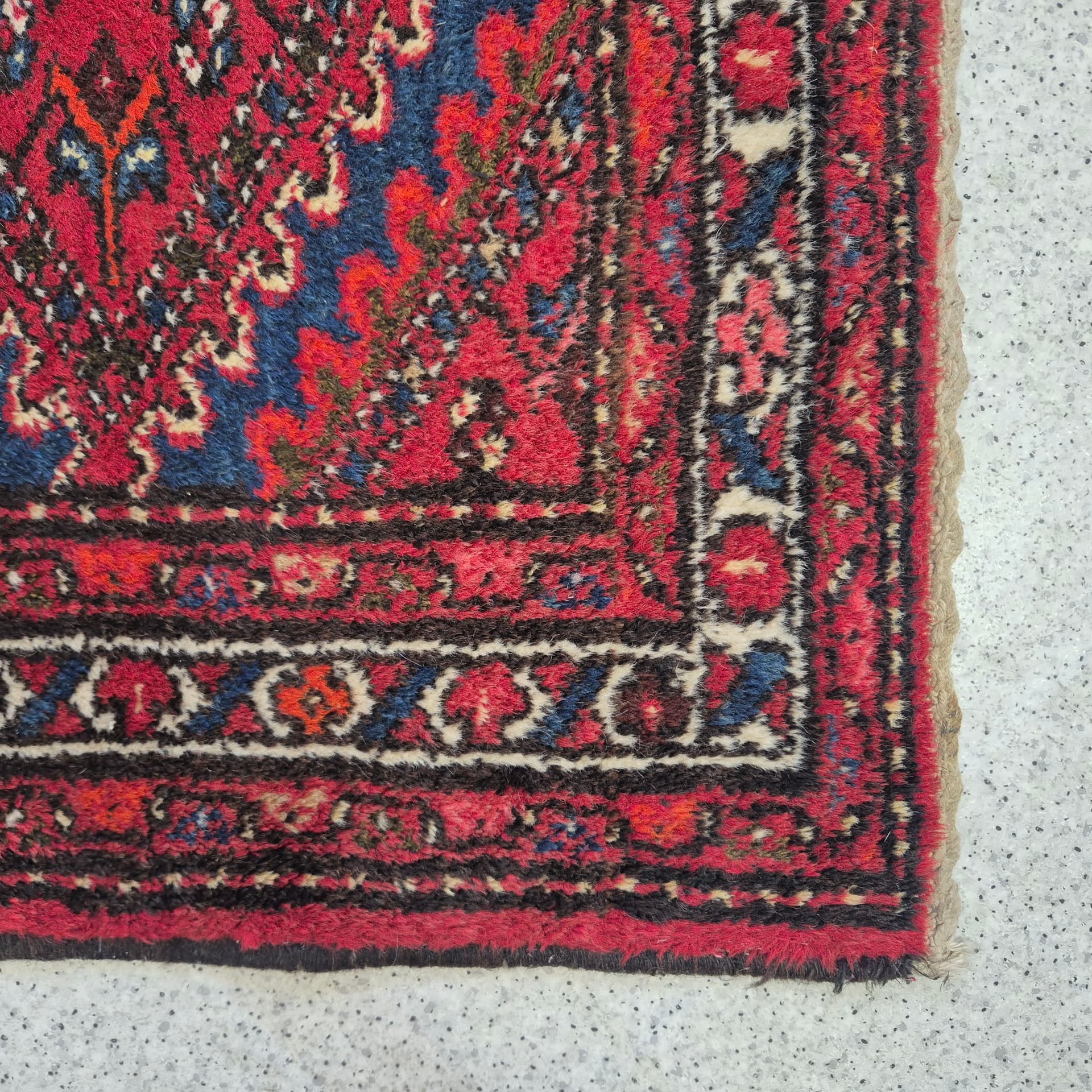 Rug Shiraz 150x103 cm, red multicolor, wool, Iran, 1960s. - 341938