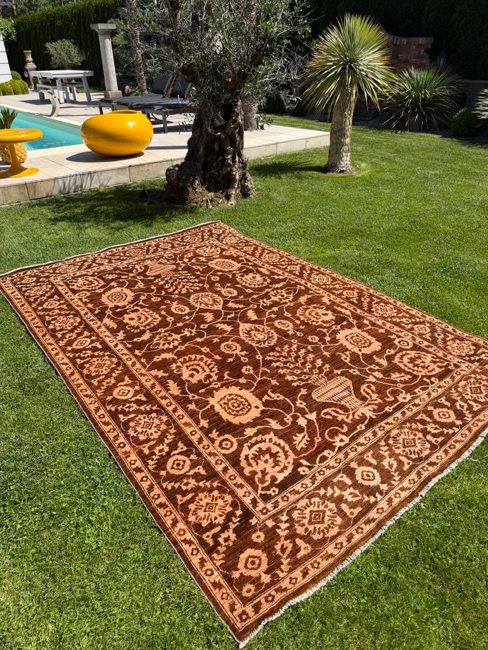 Rug Ziegler 300x200 cm, brown beige, wool, Pakistan - 342094