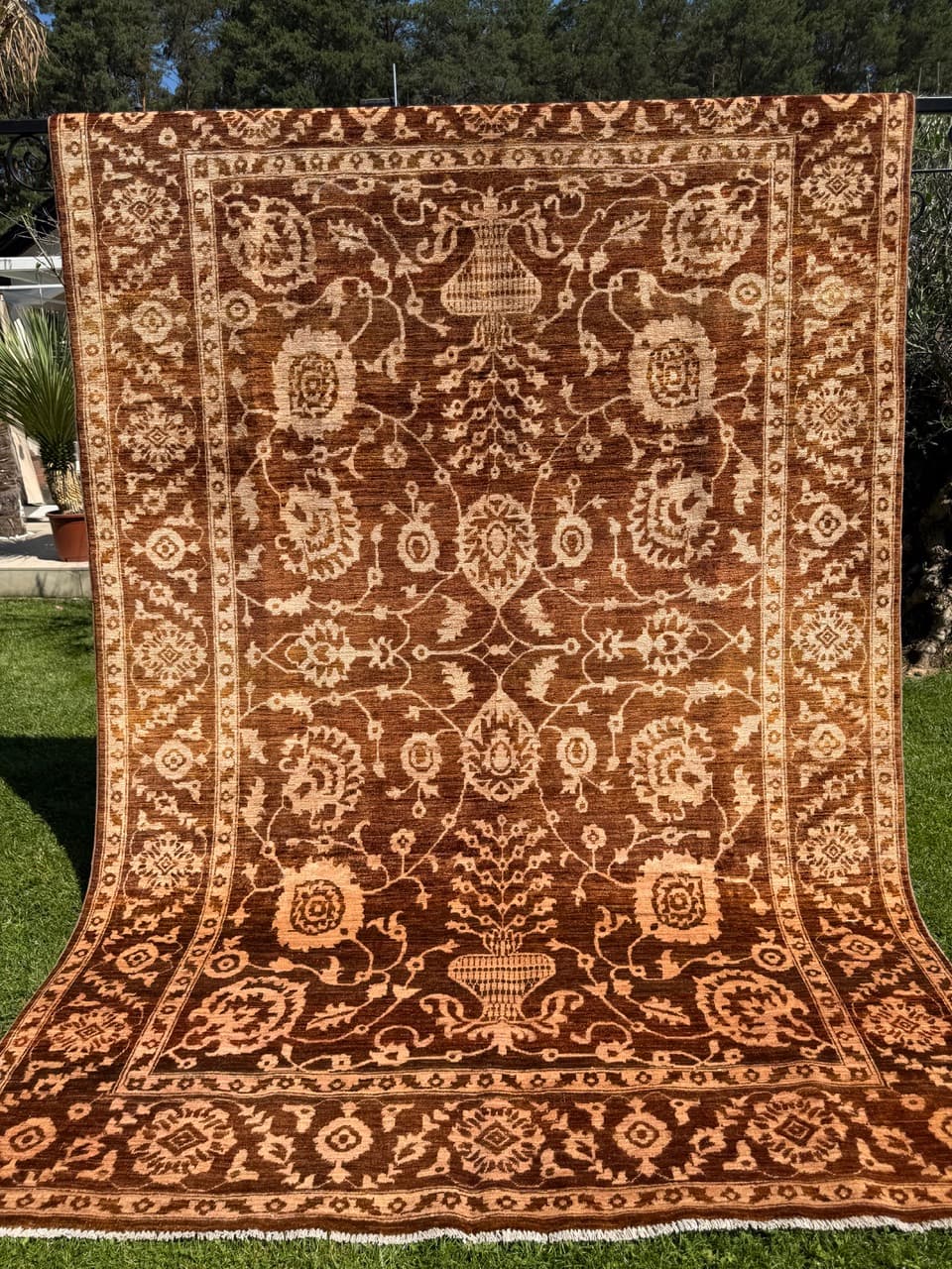 Rug Ziegler 300x200 cm, brown beige, wool, Pakistan - 342089