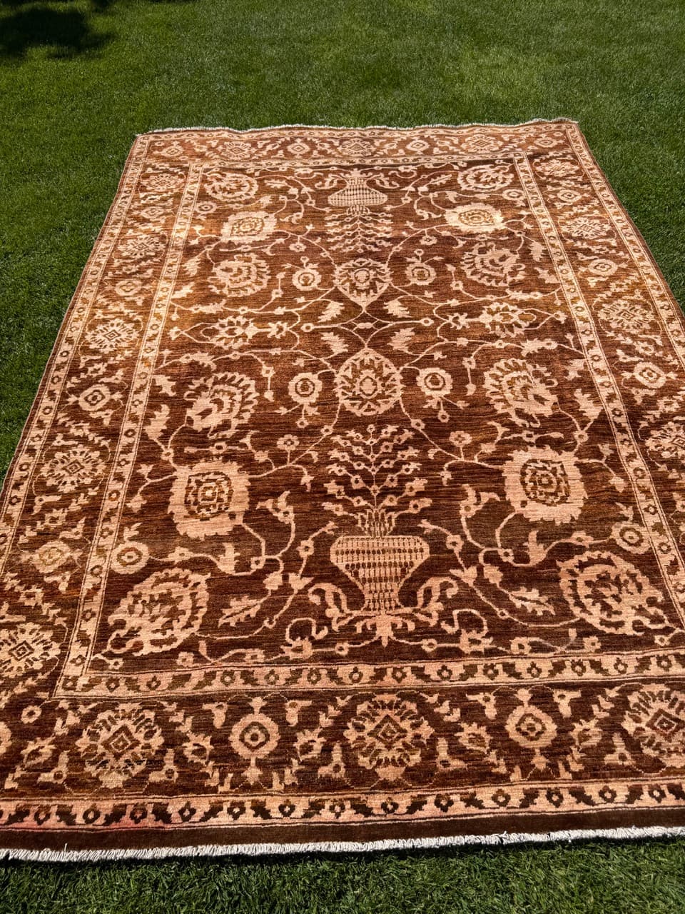 Rug Ziegler 300x200 cm, brown beige, wool, Pakistan - 342090