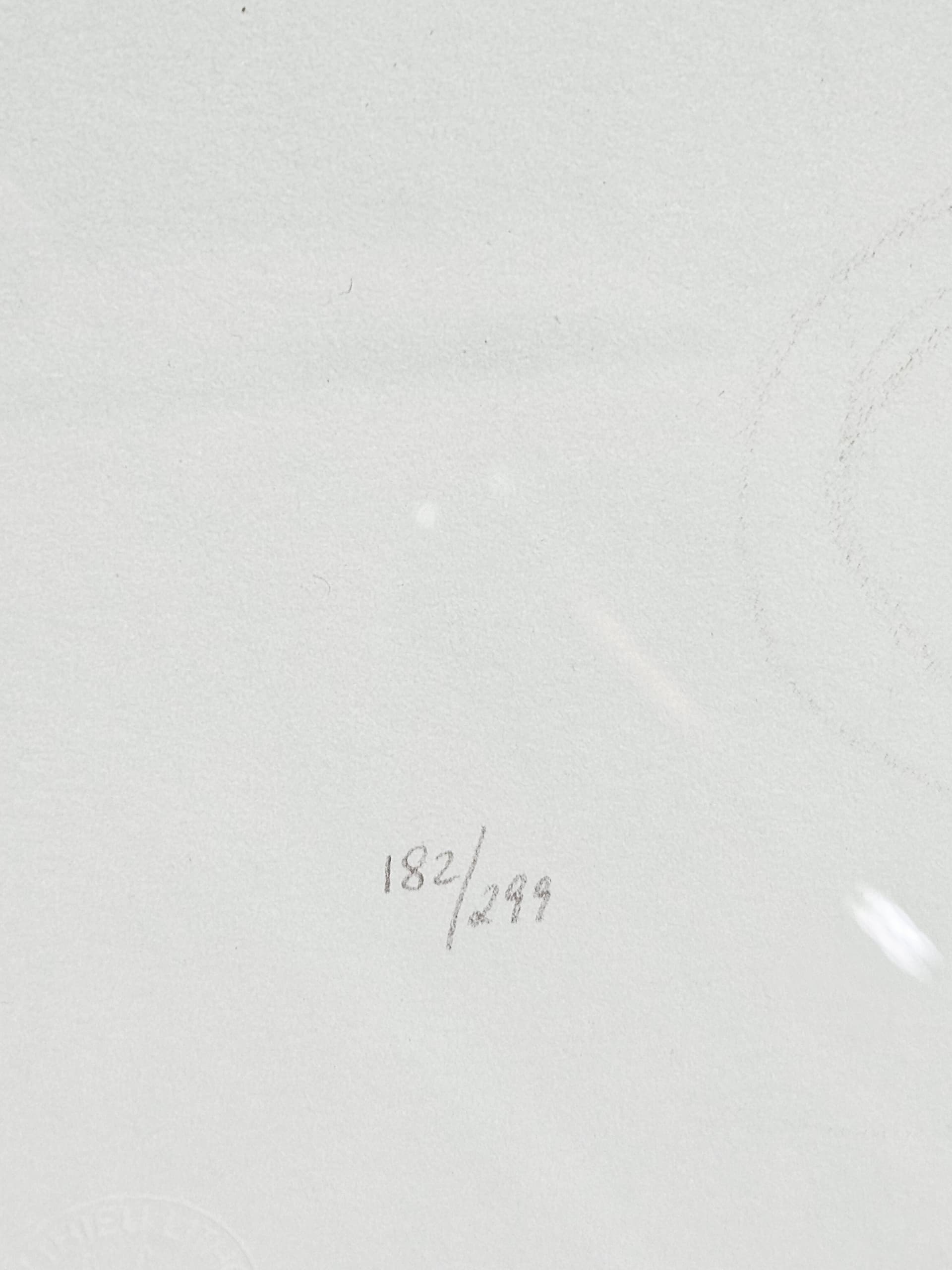 Litografia Chiaro di Luna 90cm x 64cm, aut. B. Bruni - 350178