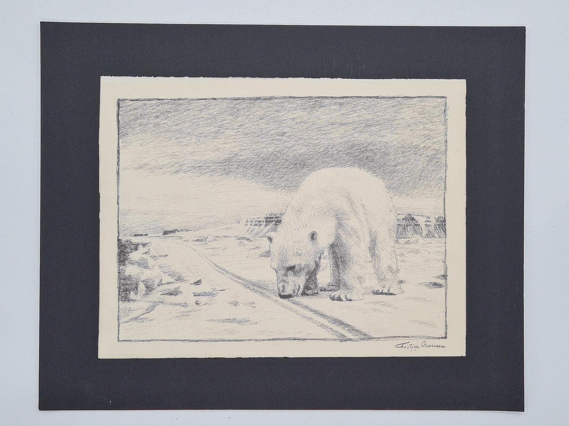 Lithograph Polar Bear 50x40 cm, paper, Norway, 1970s. - 357199