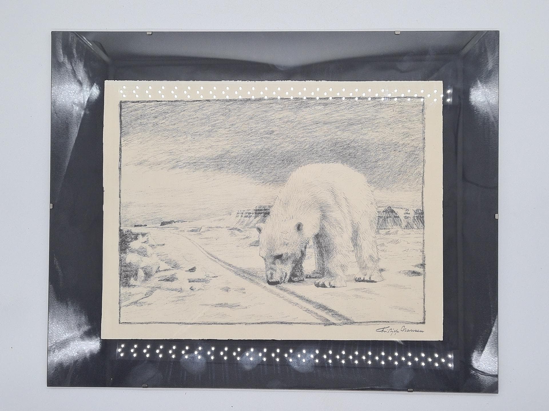 Lithograph Polar Bear 50x40 cm, paper, Norway, 1970s. - 357191