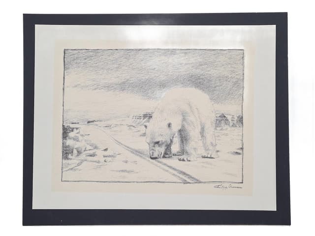 Lithograph Polar Bear 50x40 cm, paper, Norway, 1970s. - DIMENSION