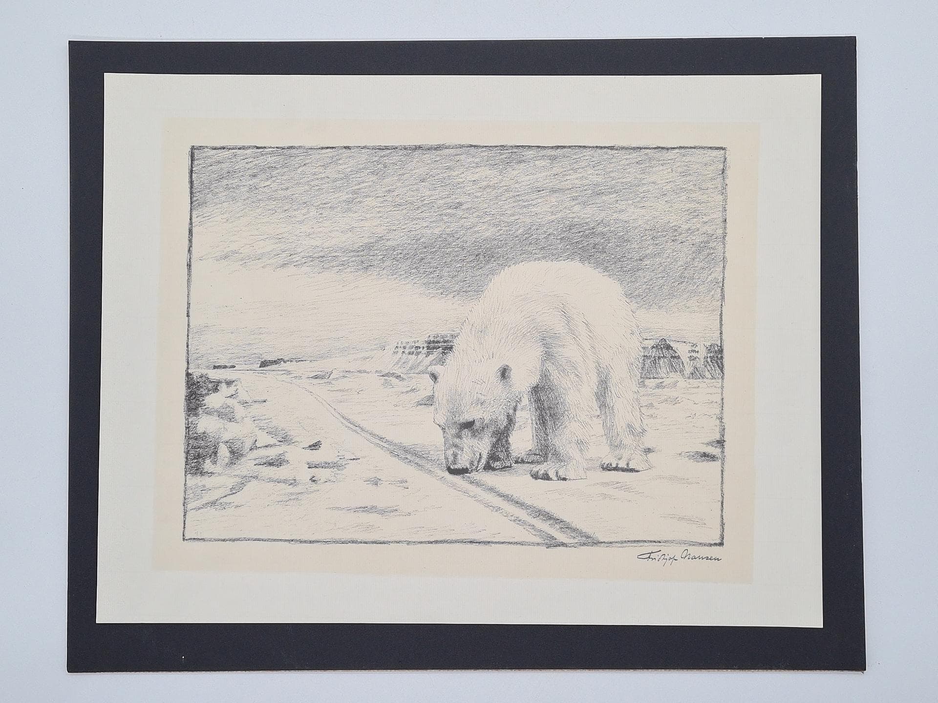 Lithograph Polar Bear 50x40 cm, paper, Norway, 1970s. - 357200