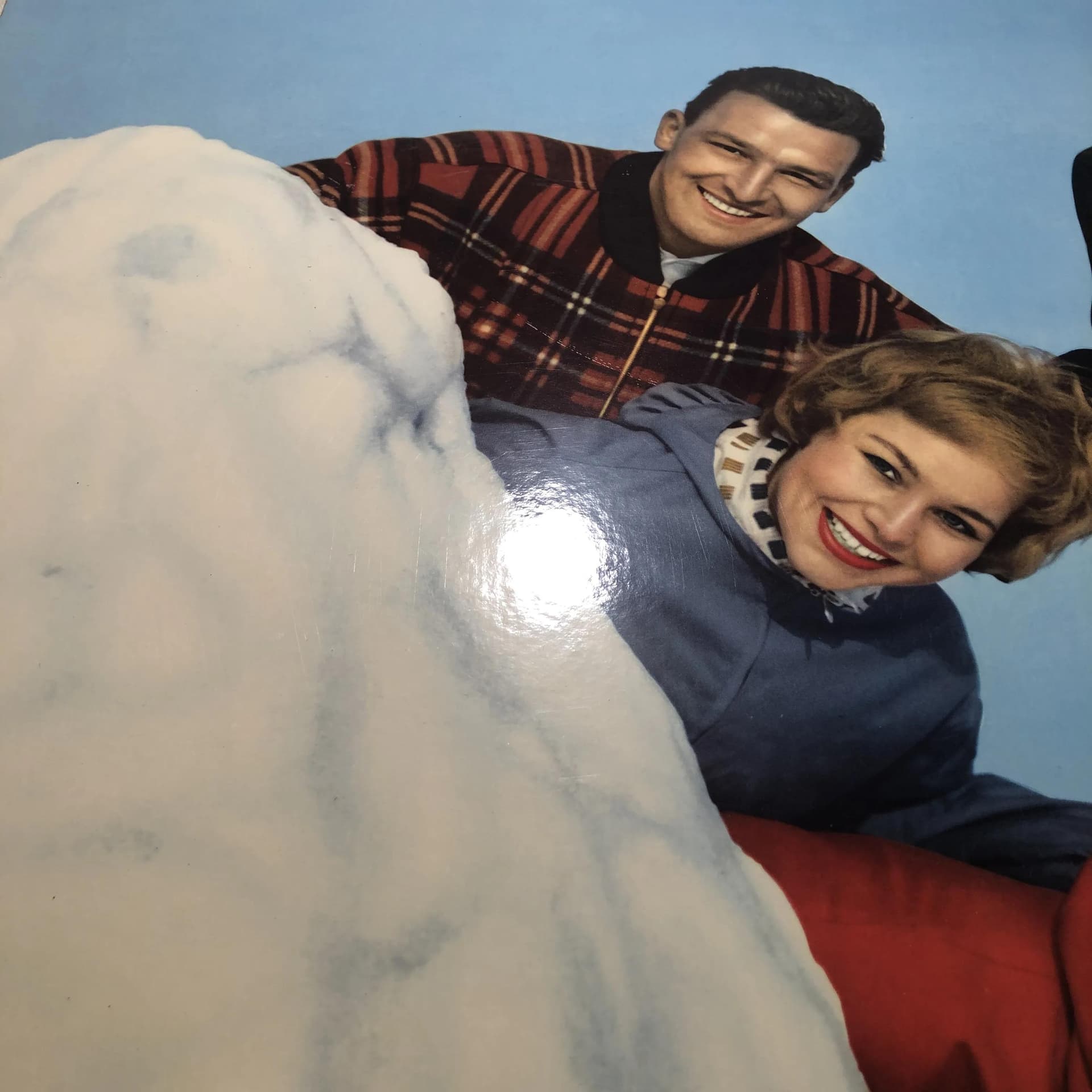 Reklama ścienna Agfacolor, multicolor, drewno, Agfa, Niemcy, lata 60. - 26448