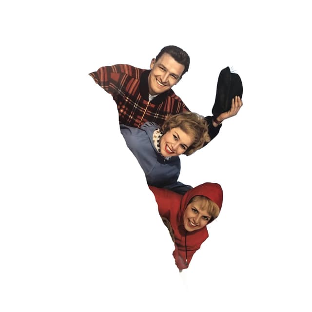 Reklama ścienna Agfacolor, multicolor, drewno, Agfa, Niemcy, lata 60. - WYMIARY