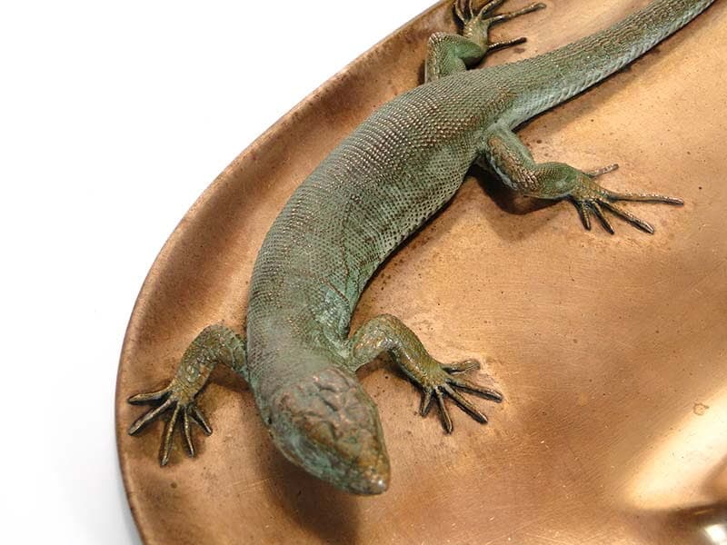 Desk Tray with Lizard, brown bronze, gold brass, Austria, 19th century - 361359