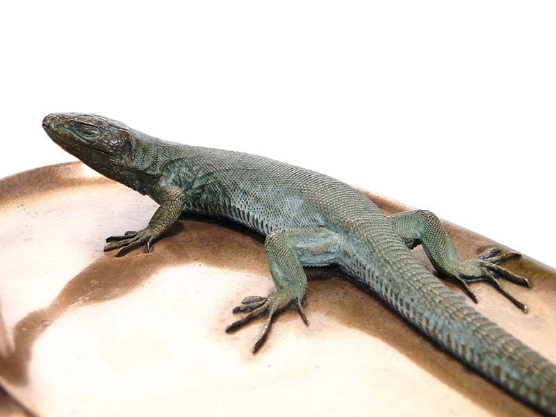Desk Tray with Lizard, brown bronze, gold brass, Austria, 19th century - 361353