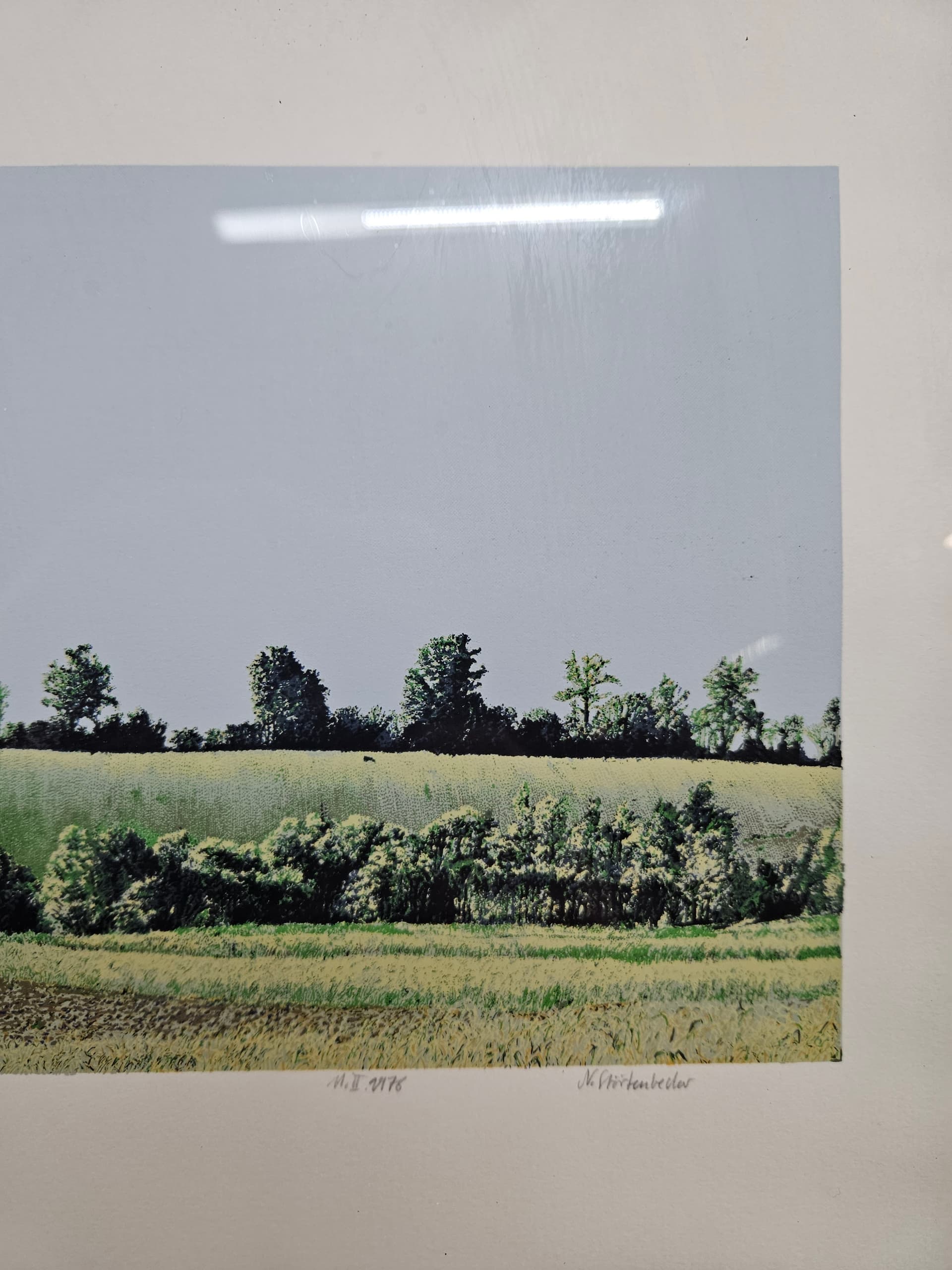 Woodcut 46x34 cm, green blue, paper, by N. Störtenbecker, Germany, 1970s. - 363524