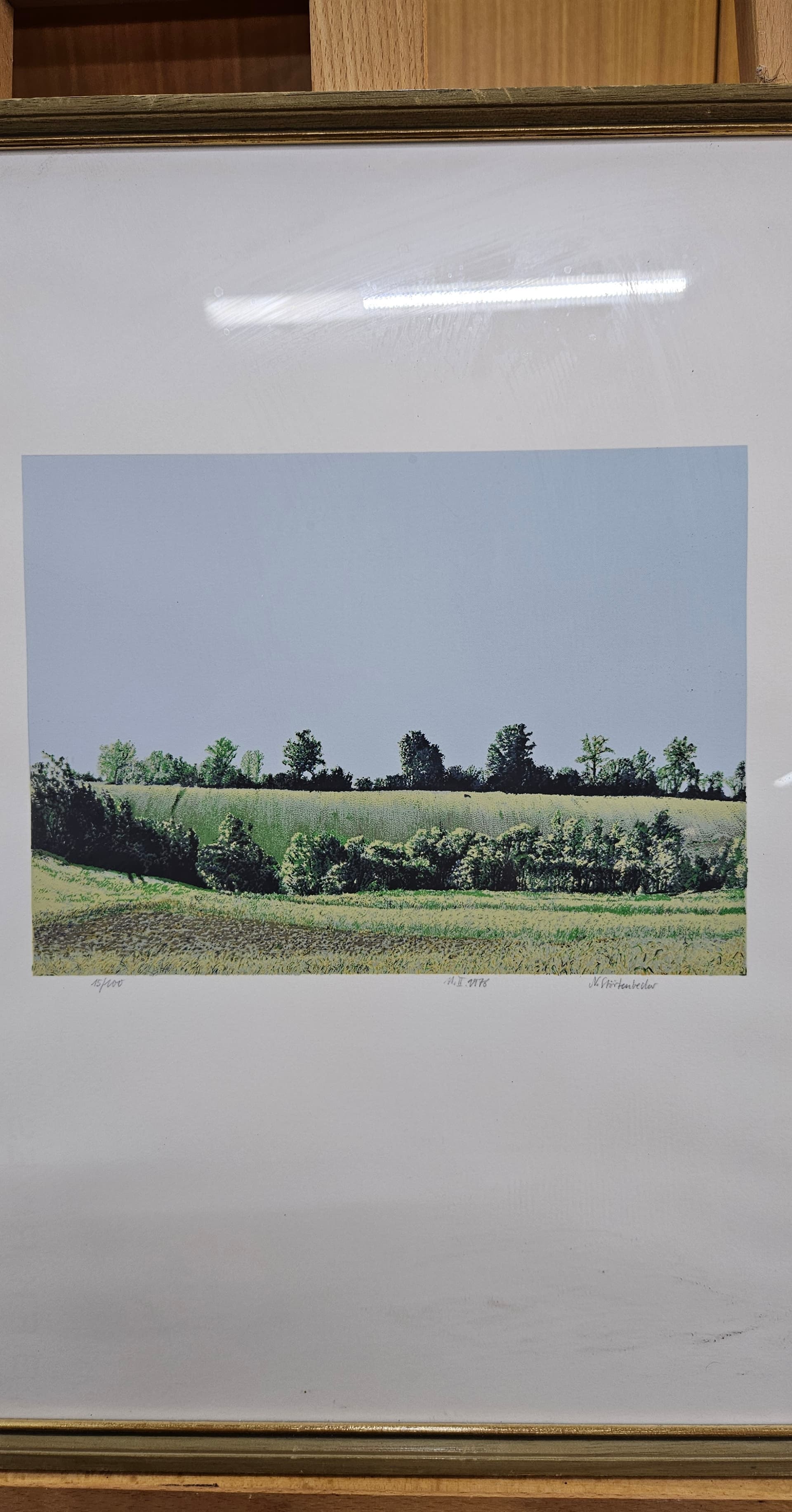 Woodcut 46x34 cm, green blue, paper, by N. Störtenbecker, Germany, 1970s. - 363523