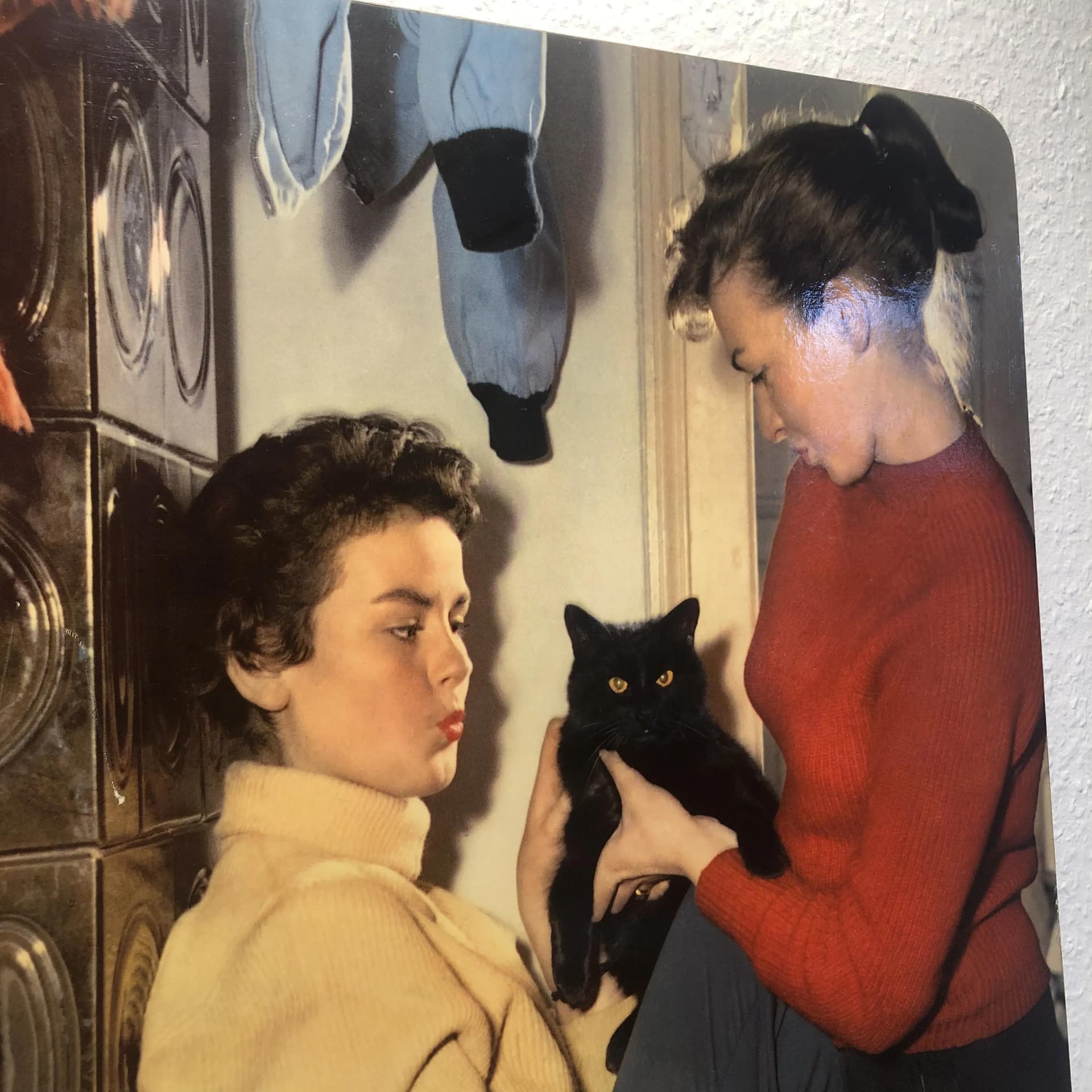 Reklama ścienna Agfacolor, multikolor, drewno, Niemcy, lata 70. - 26768