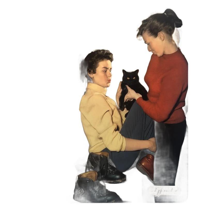 Reklama ścienna Agfacolor, multikolor, drewno, Niemcy, lata 70.