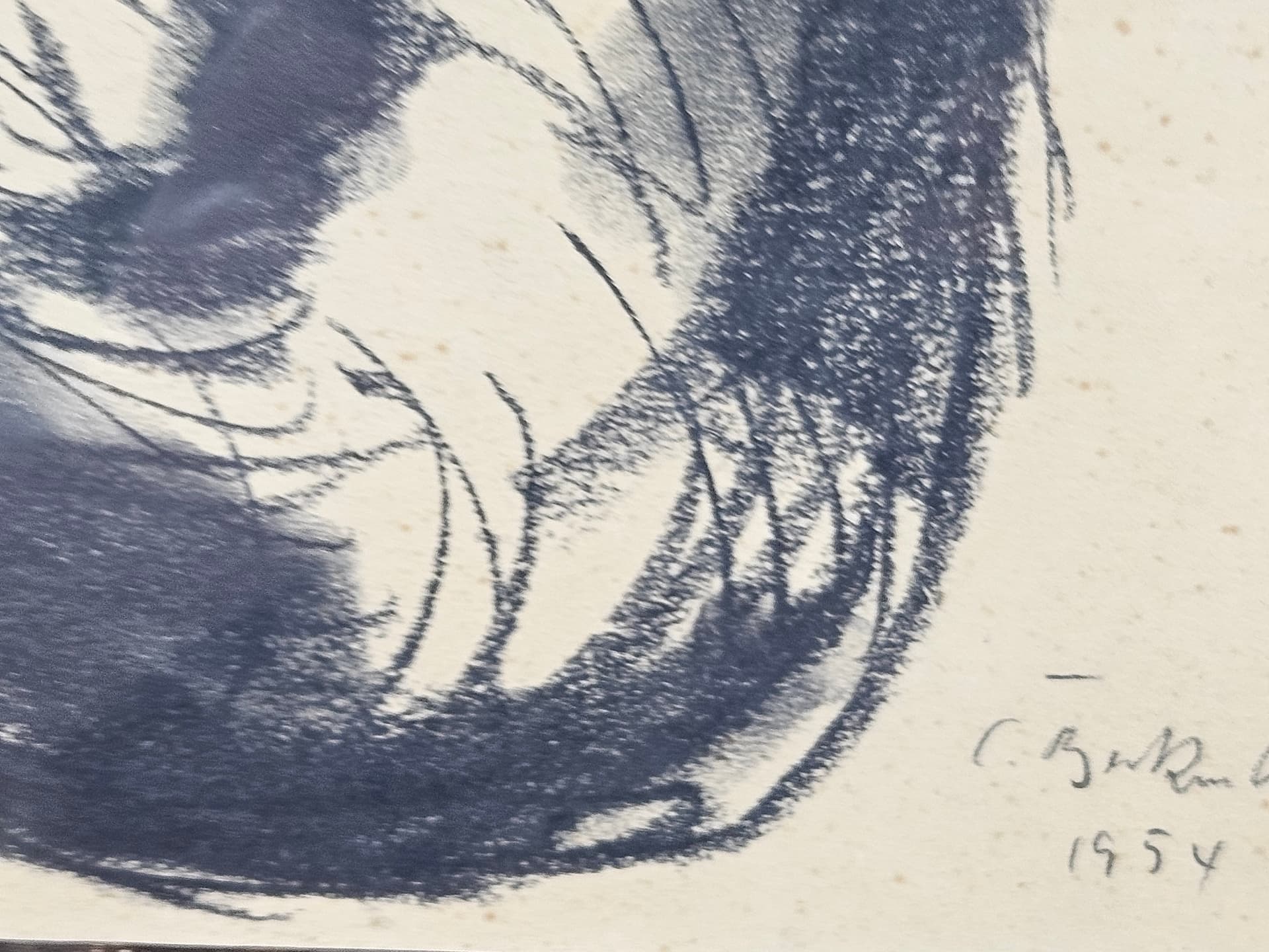 Drawing Cat, 28x35 cm, black chalk, black pencil, white paper, brown wood frame, 1950s. - 365523