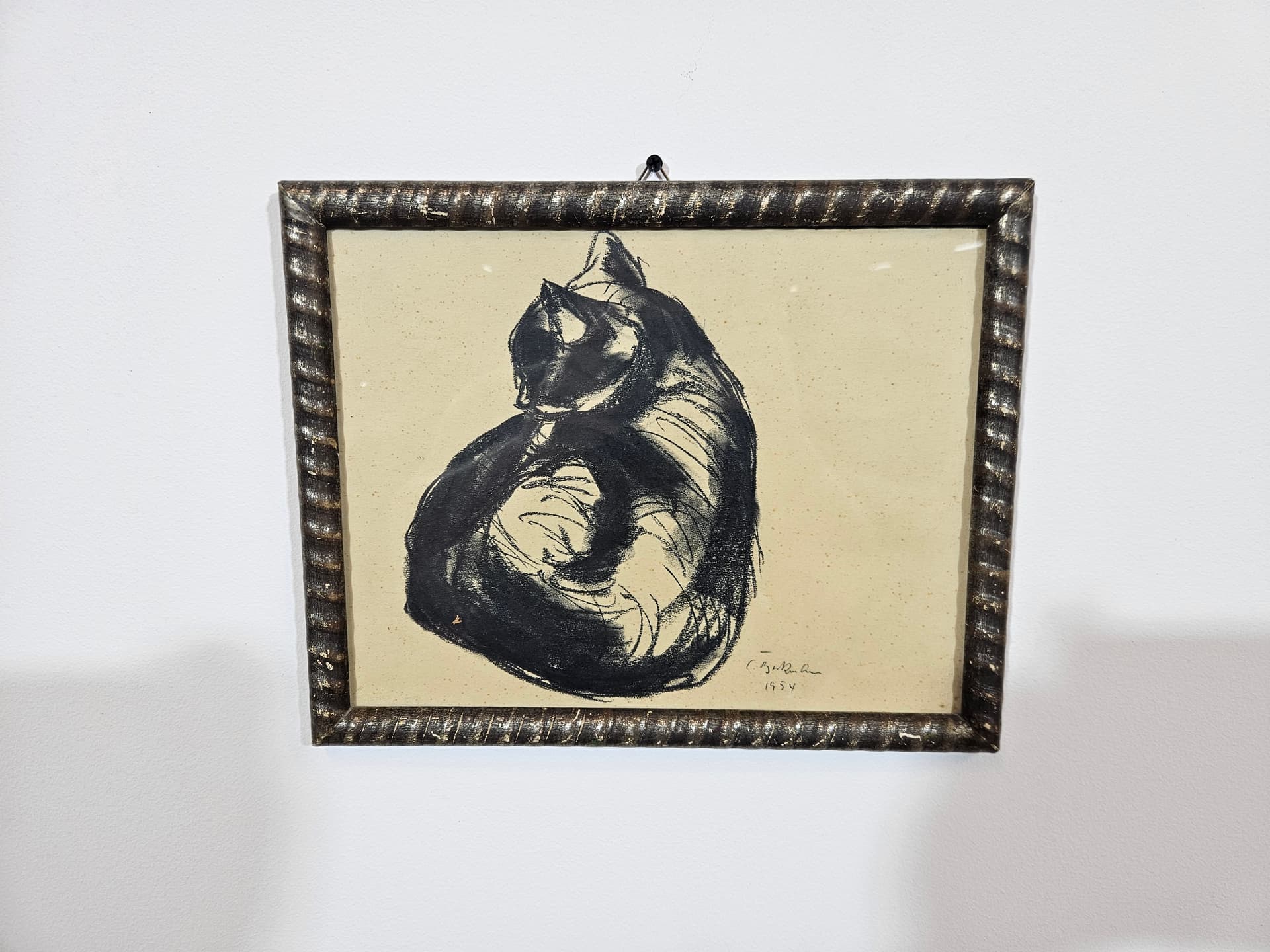 Drawing Cat, 28x35 cm, black chalk, black pencil, white paper, brown wood frame, 1950s. - 365521