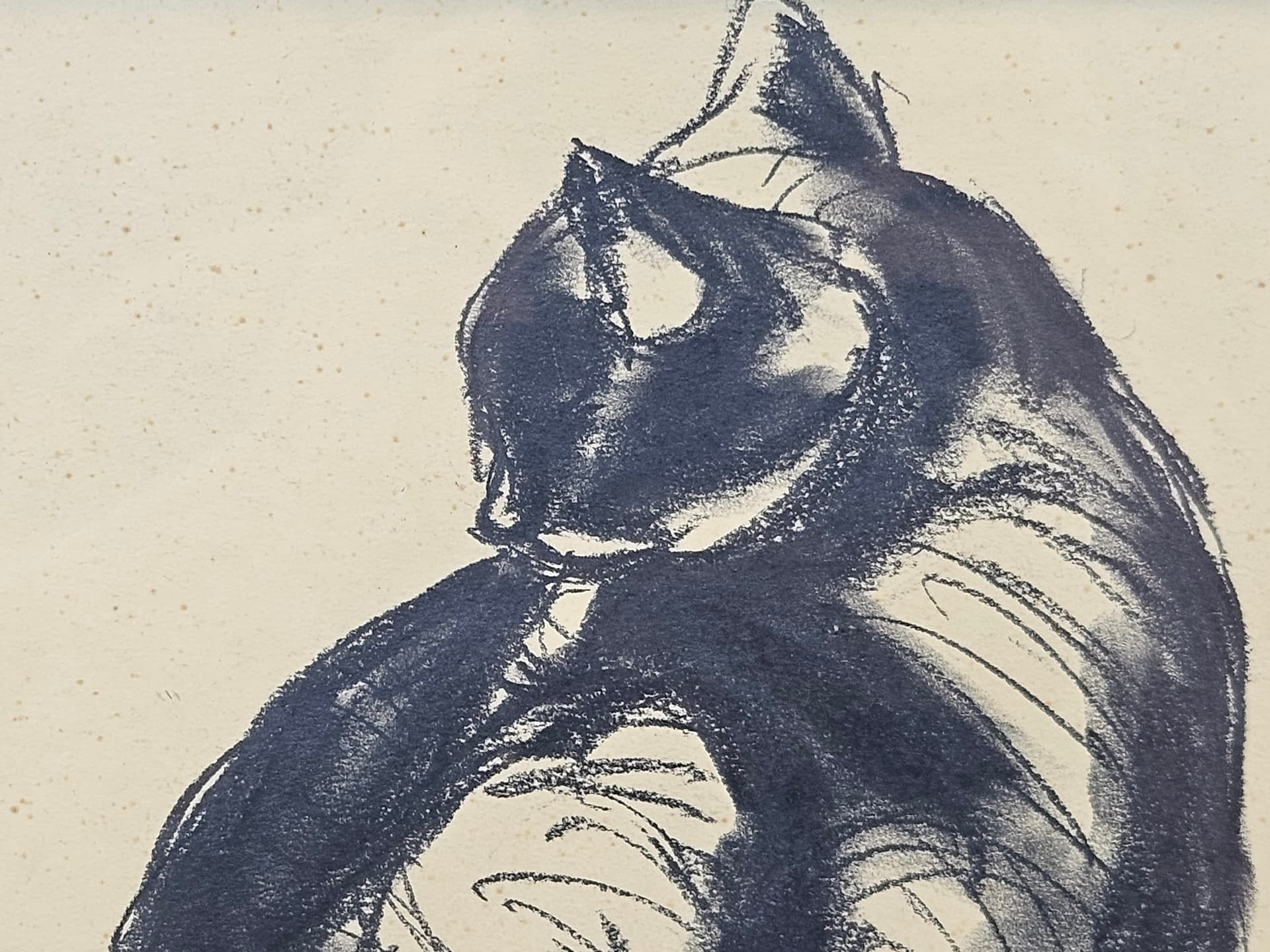Drawing Cat, 28x35 cm, black chalk, black pencil, white paper, brown wood frame, 1950s. - 365525