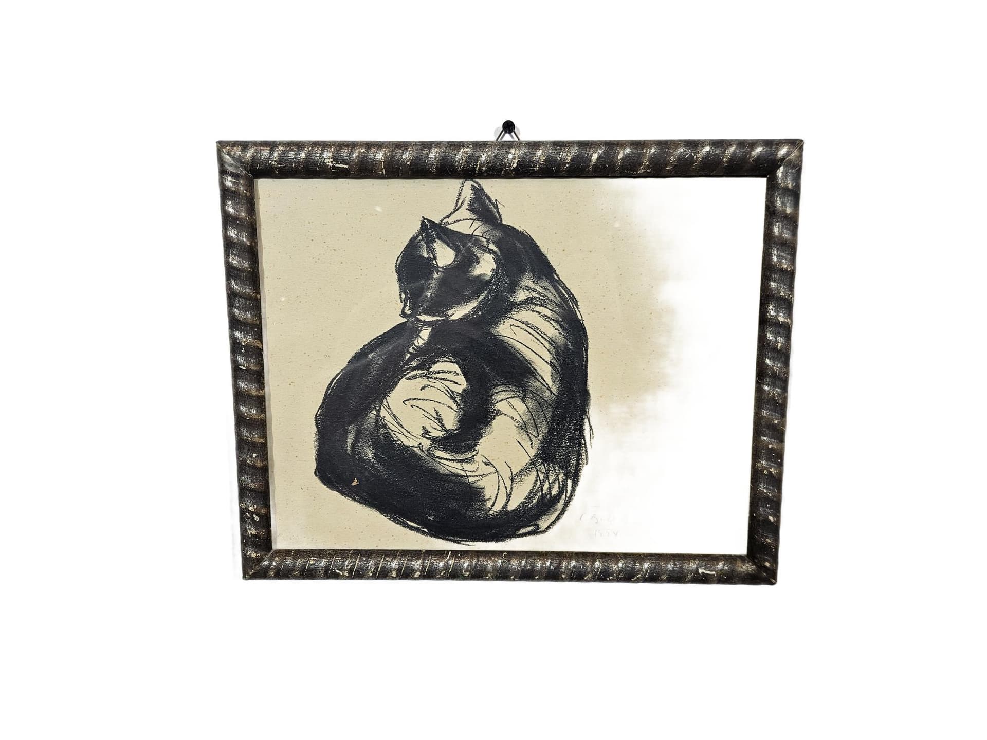 Drawing Cat, 28x35 cm, black chalk, black pencil, white paper, brown wood frame, 1950s.