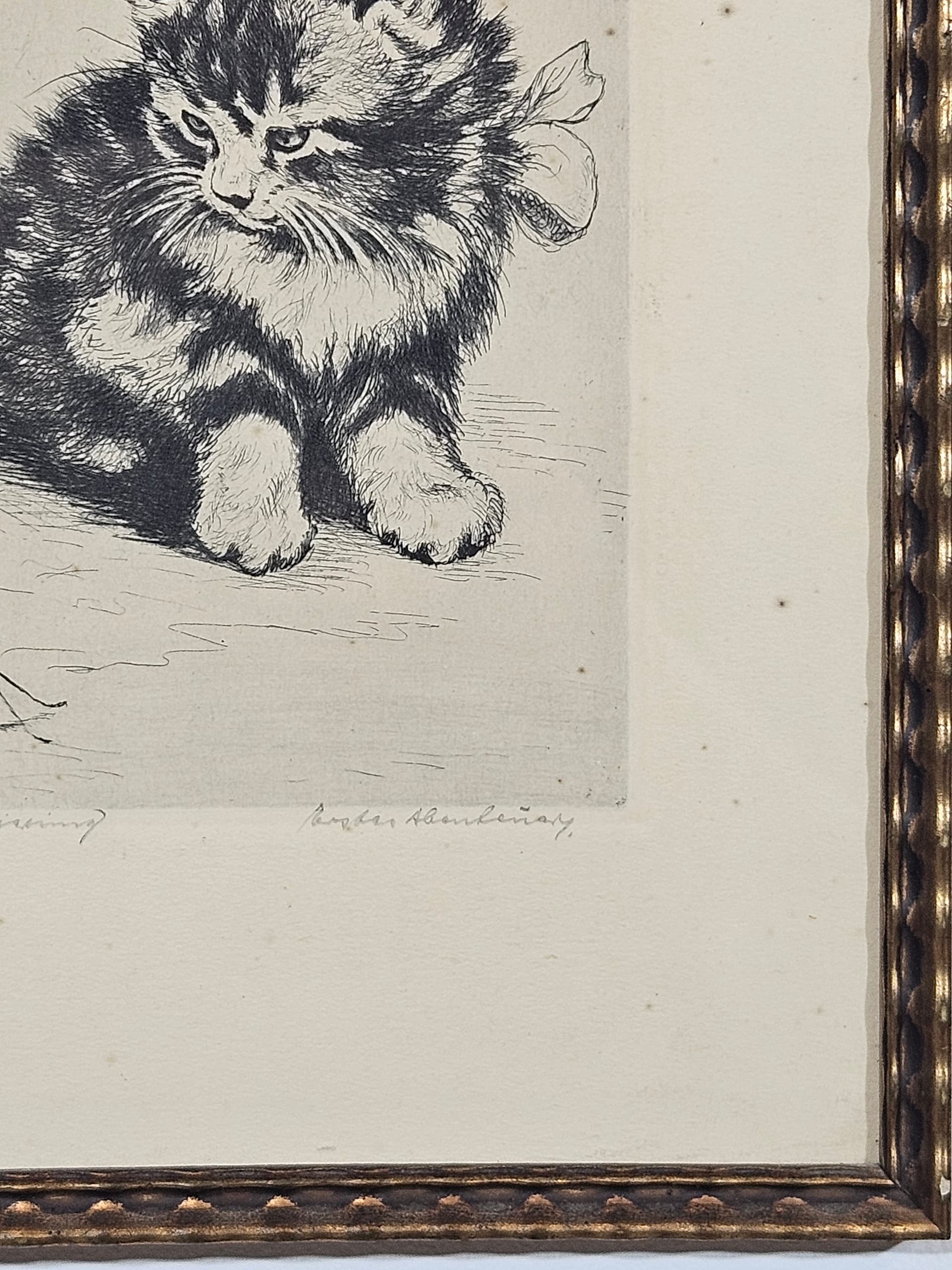 Print Cat, black and white copperplate engraving, paper, frame wood gold, 1950s - 365545