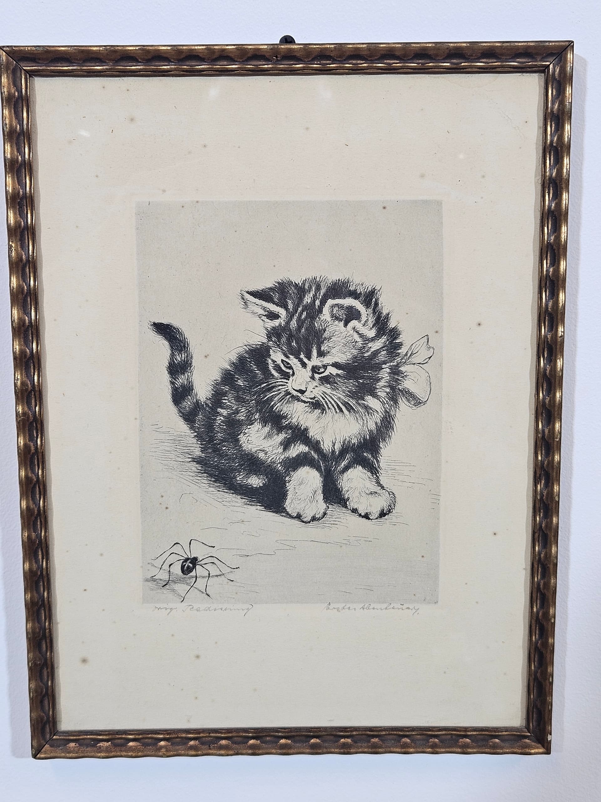 Print Cat, black and white copperplate engraving, paper, frame wood gold, 1950s - 365541