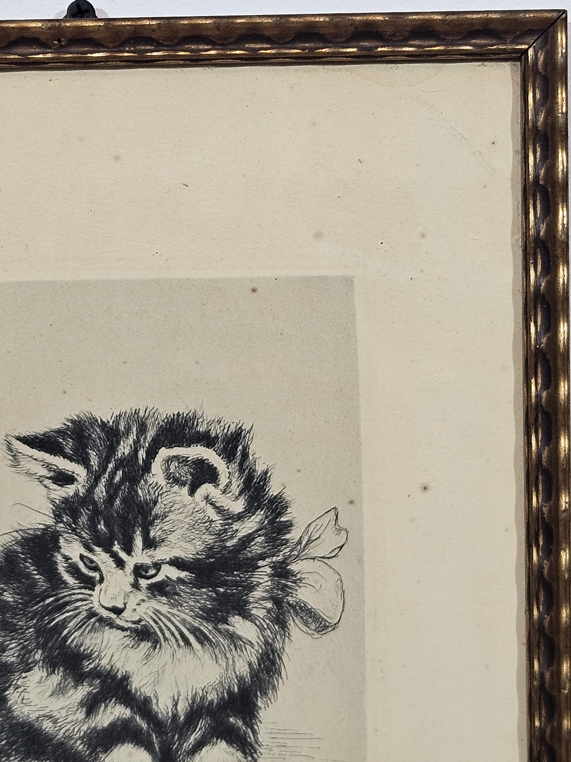 Print Cat, black and white copperplate engraving, paper, frame wood gold, 1950s - 365544