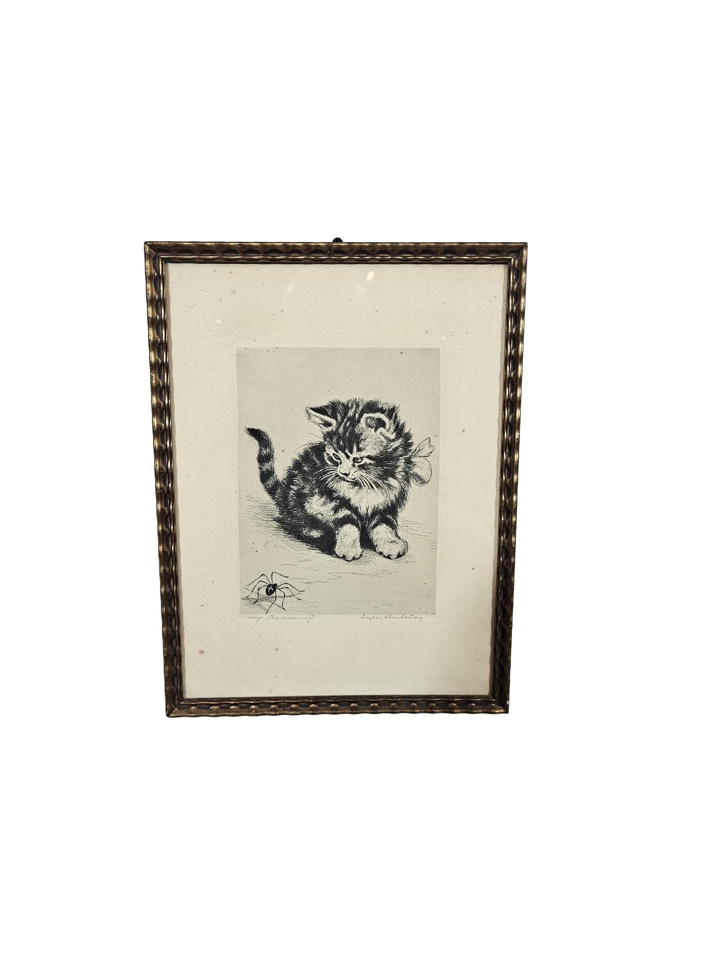 Print Cat, black and white copperplate engraving, paper, frame wood gold, 1950s