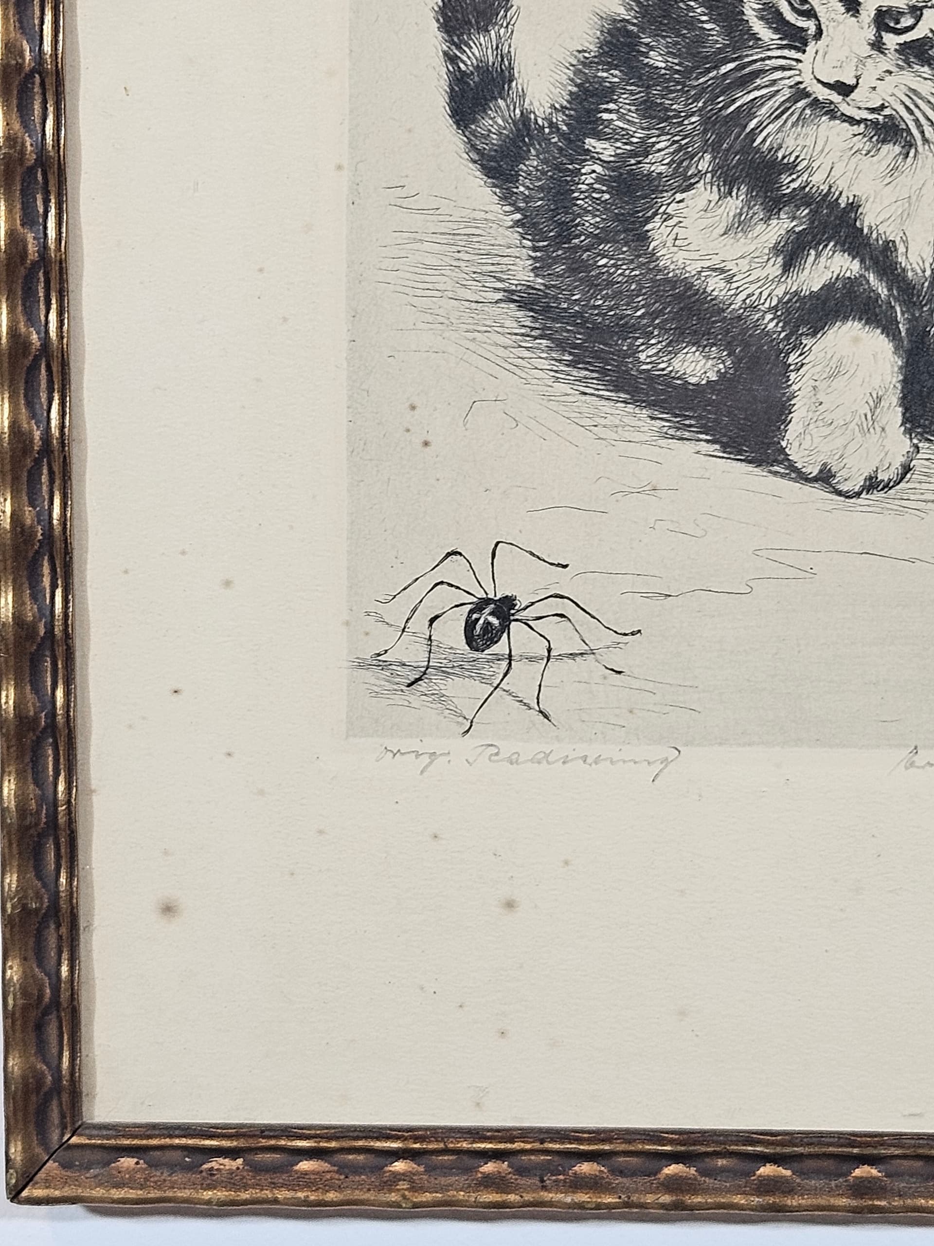 Print Cat, black and white copperplate engraving, paper, frame wood gold, 1950s - 365542