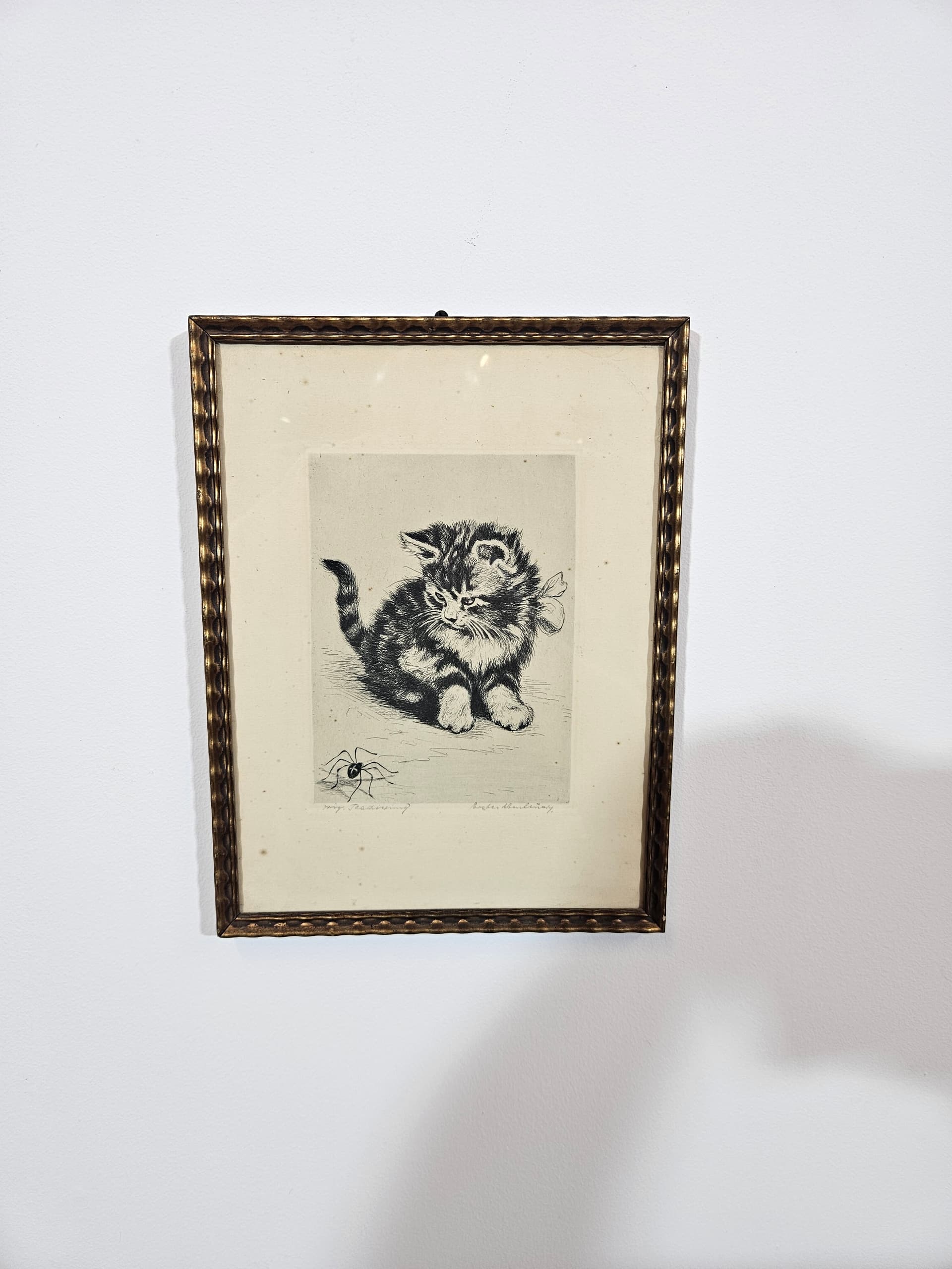 Print Cat, black and white copperplate engraving, paper, frame wood gold, 1950s - 365536