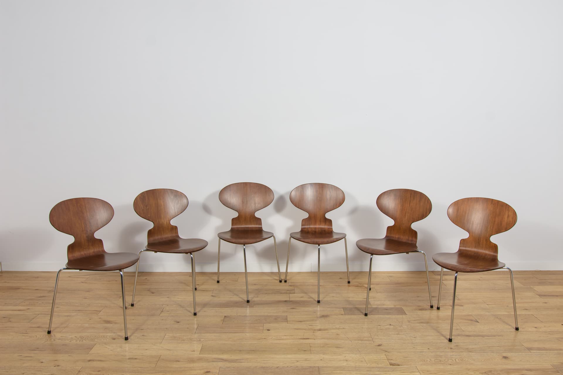 Set of six chairs Ant 3101, teak plywood brown, chrome steel silver, by A. Jacobsen, for Fritz Hansen, Denmark, 1970s. - 367642
