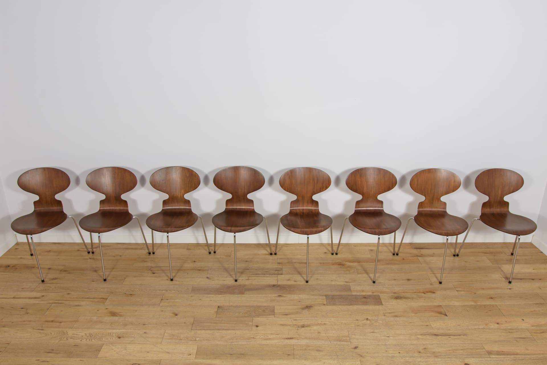 Set of eight chairs Ant 3101, teak plywood brown, polished steel silver, by A. Jacobsen, Fritz Hansen, Denmark, 1970s. - 367813