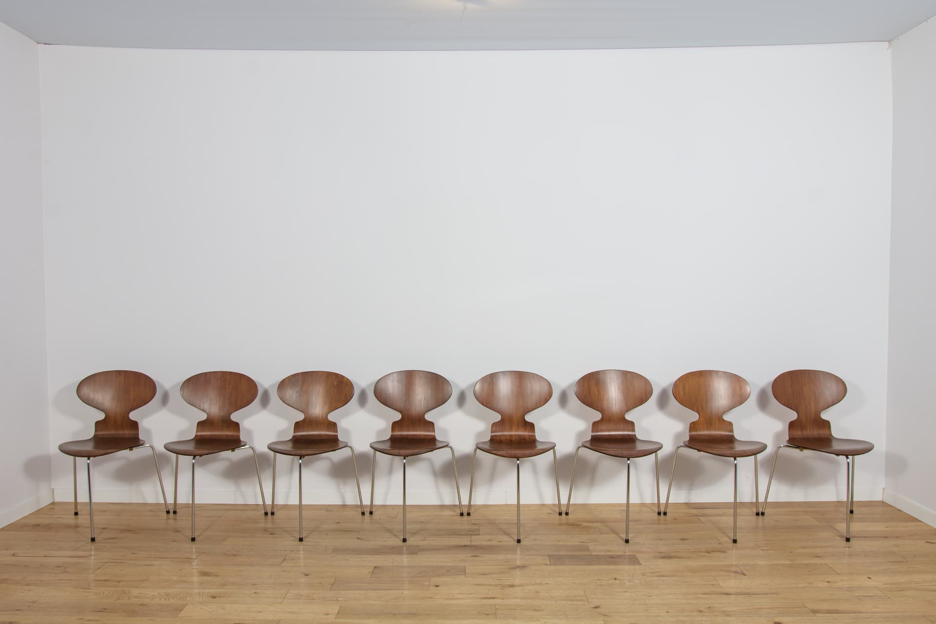 Set of eight chairs Ant 3101, teak plywood brown, polished steel silver, by A. Jacobsen, Fritz Hansen, Denmark, 1970s. - 367814