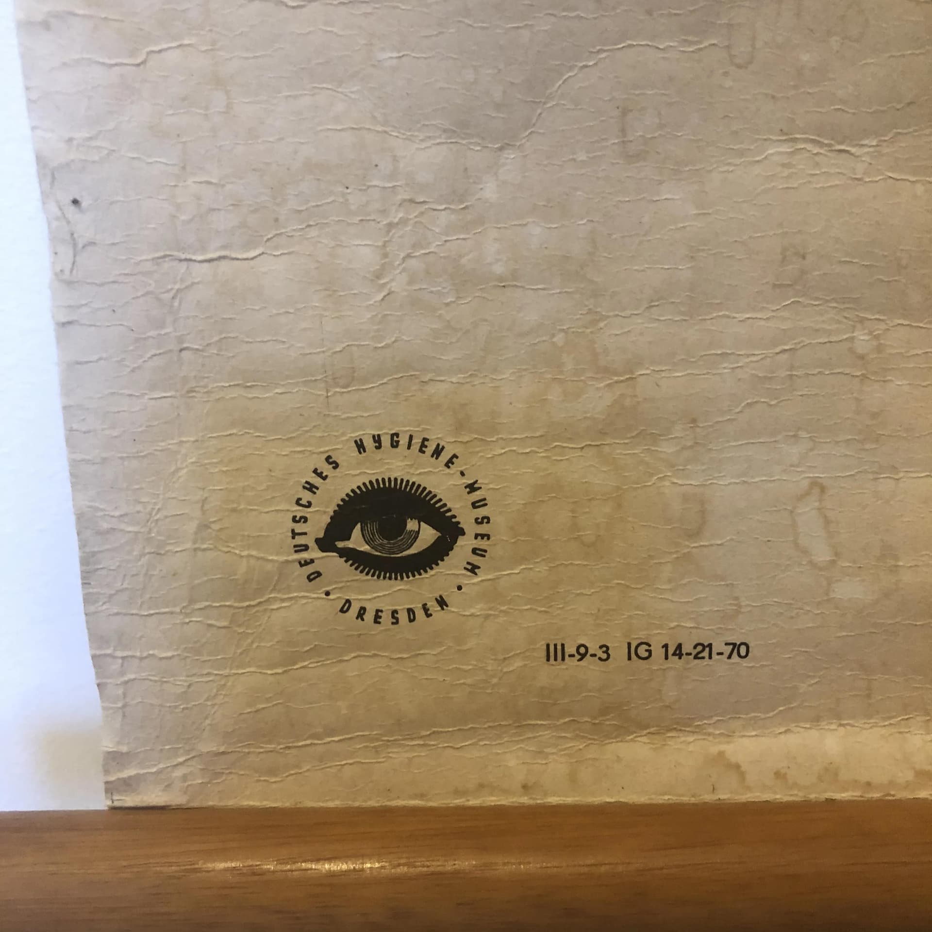 Educational Wall Chart Nervous System, multicolor, paper, Germany, 1970s. - 26755