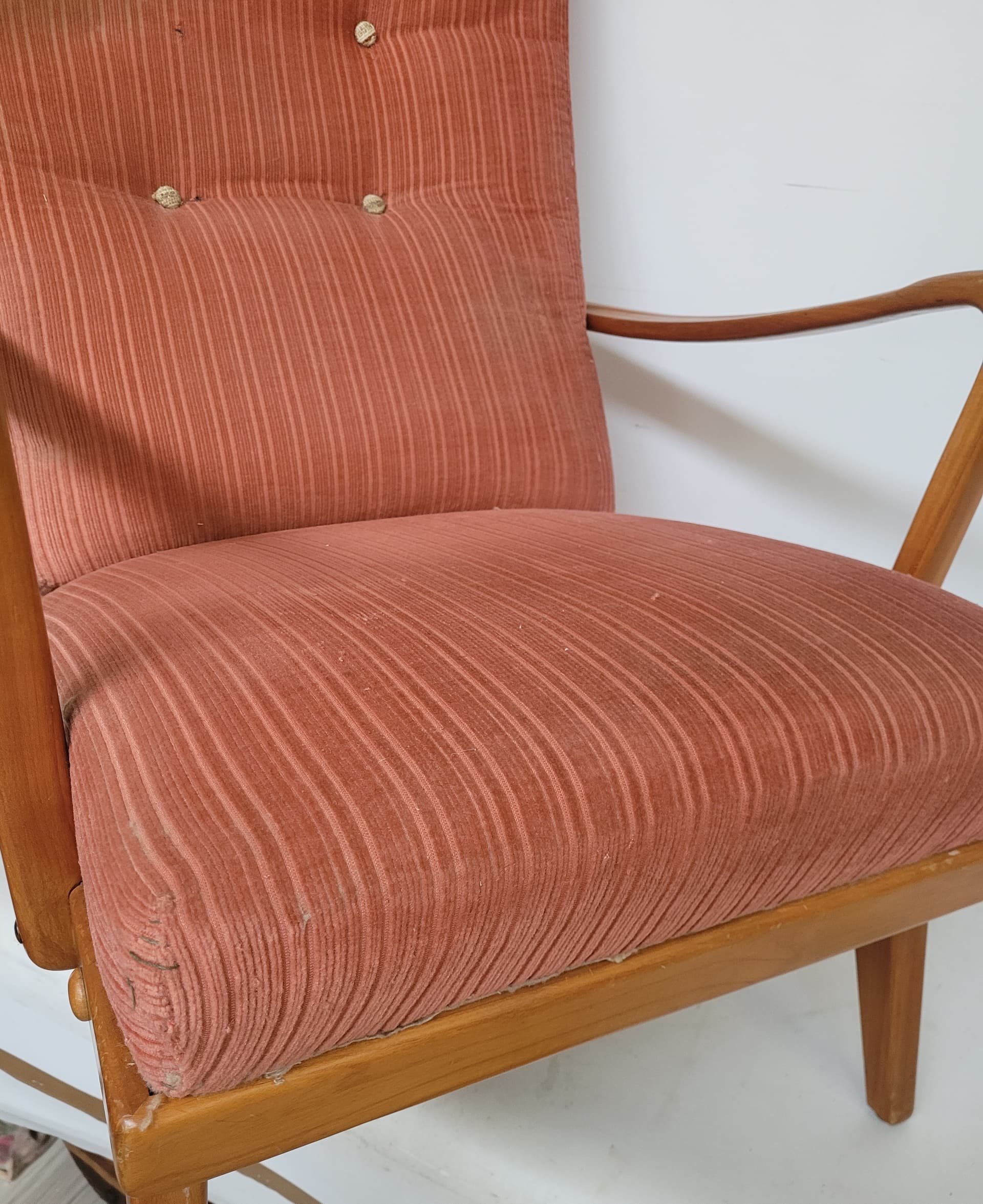Fotel Knoll Antimott, welur różowy, drewno jasny brąz, Niemcy, lata 50. - 369470