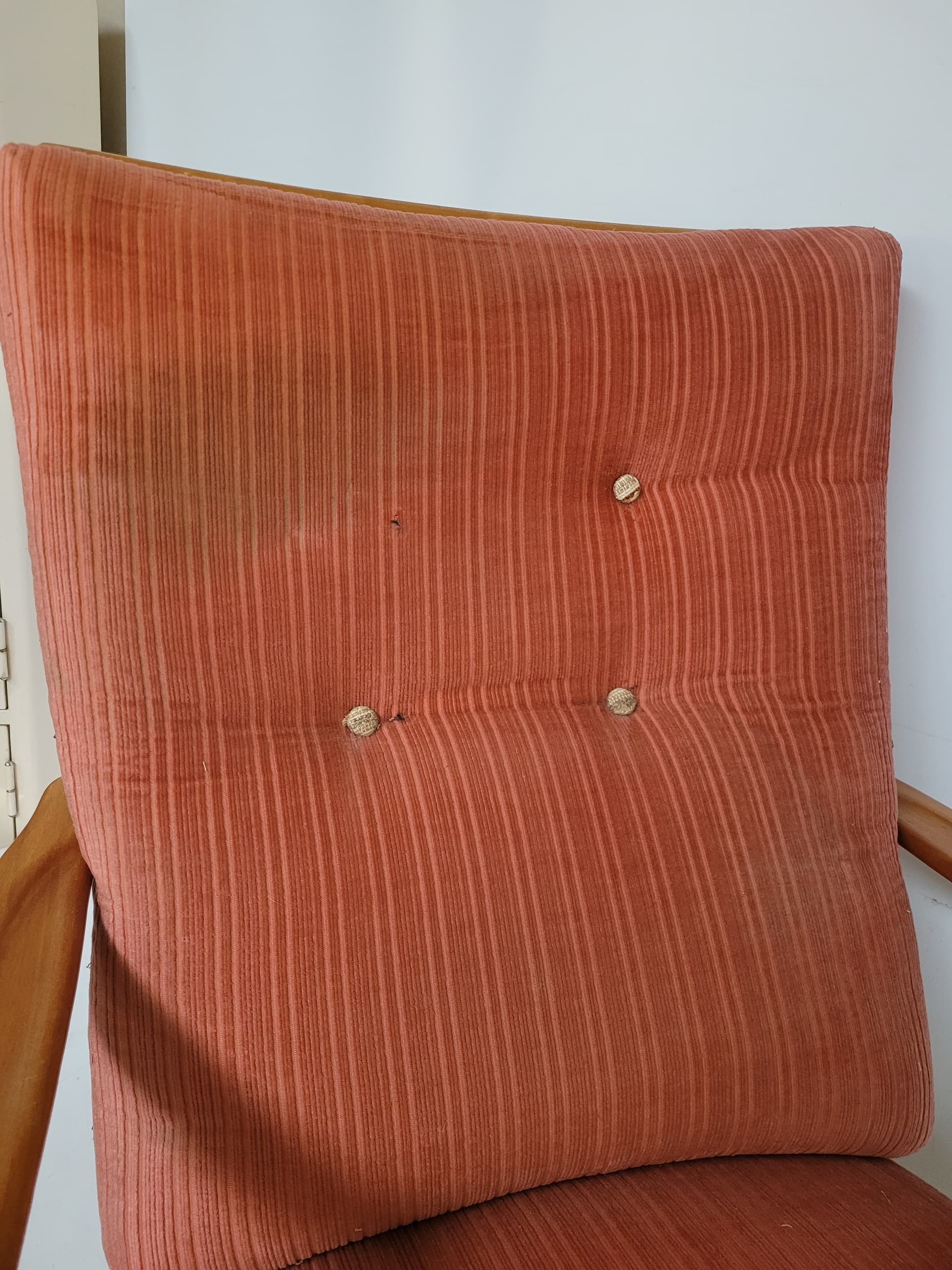 Fotel Knoll Antimott, welur różowy, drewno jasny brąz, Niemcy, lata 50. - 369474
