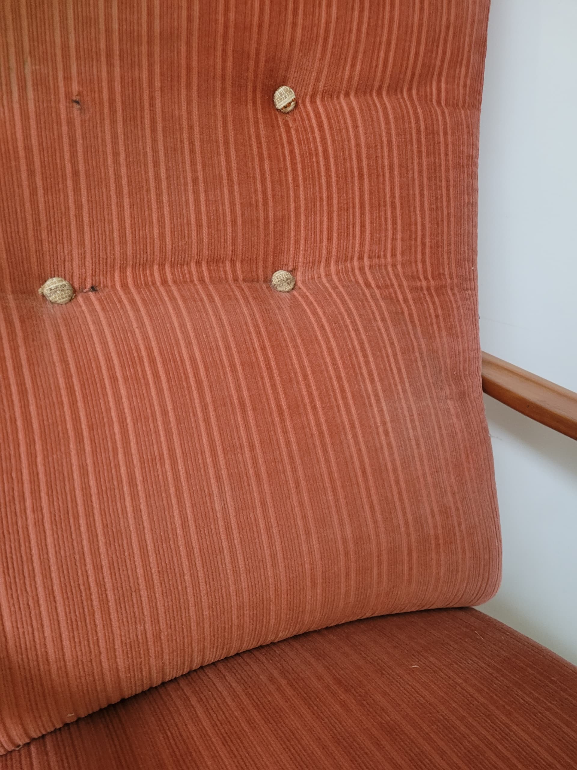 Fotel Knoll Antimott, welur różowy, drewno jasny brąz, Niemcy, lata 50. - 369471