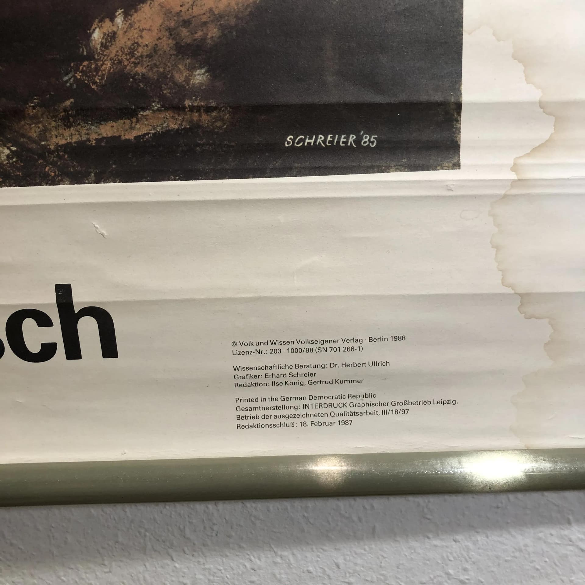 Tablica edukacyjna Człowiek epoki lodowcowej, multikolor, papier, aut. E. Schreier, Niemcy, lata 80. - 26965