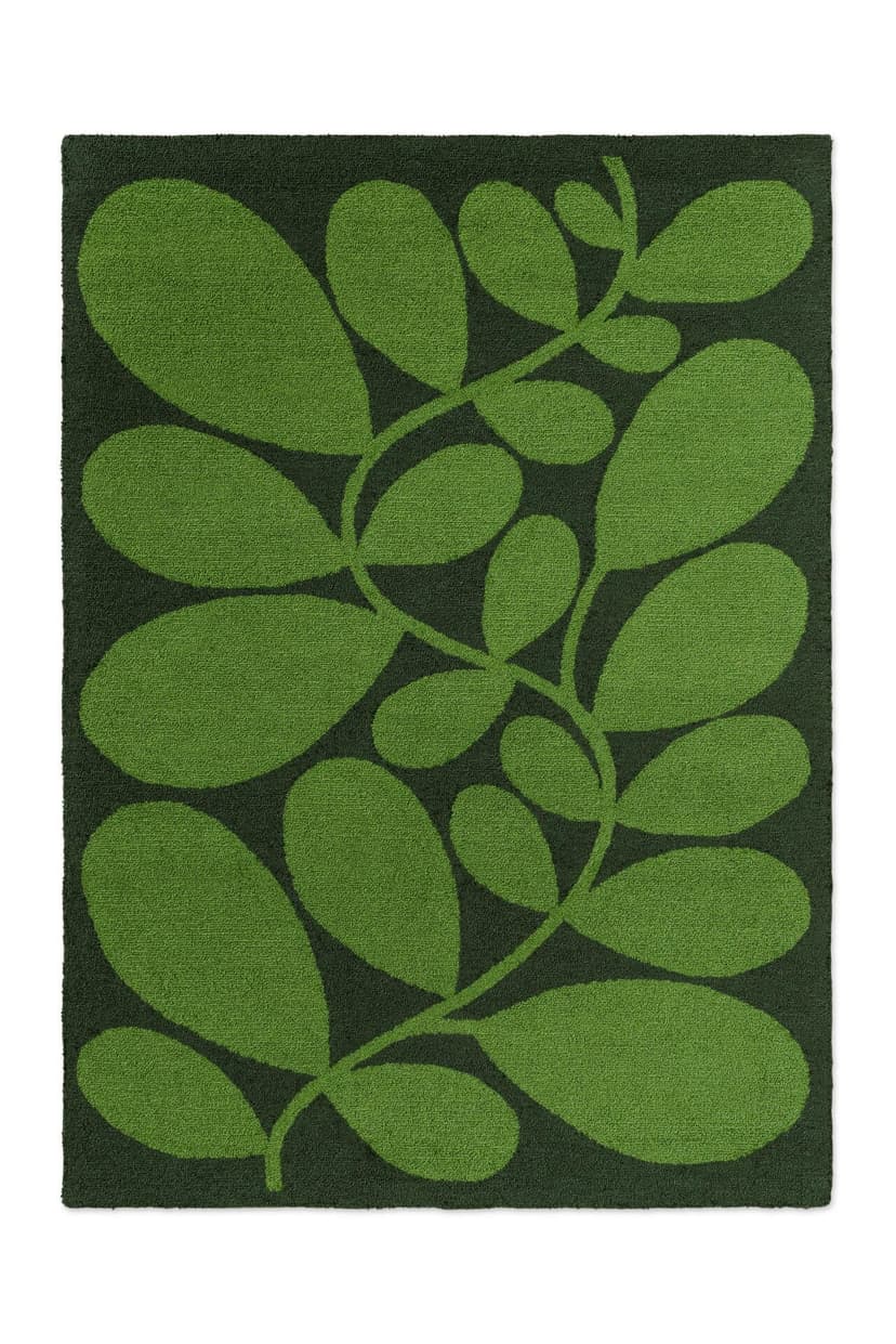 Dywan zewnętrzny Sycamore Dill zielony 140x200, Orla Kiely