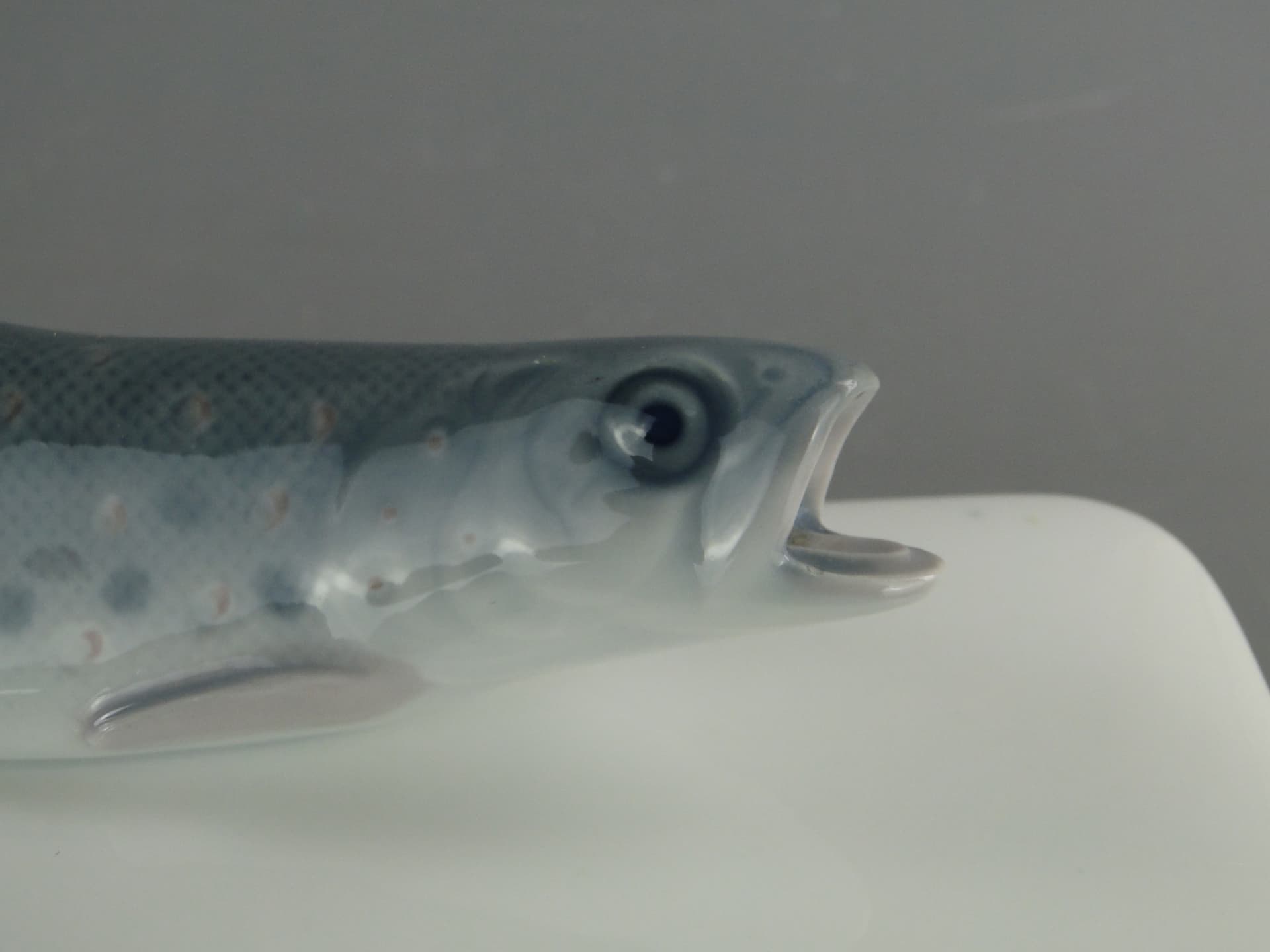 Kitchen container with trout, white porcelain, Rosenthal, Germany, early 20th century - 381827