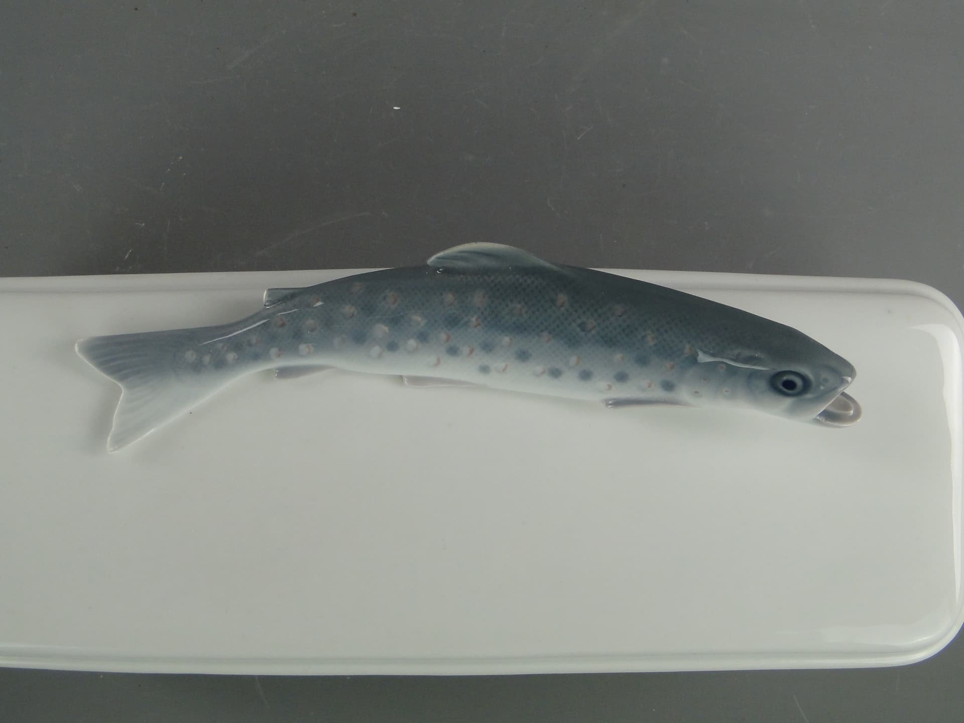 Kitchen container with trout, white porcelain, Rosenthal, Germany, early 20th century - 381818