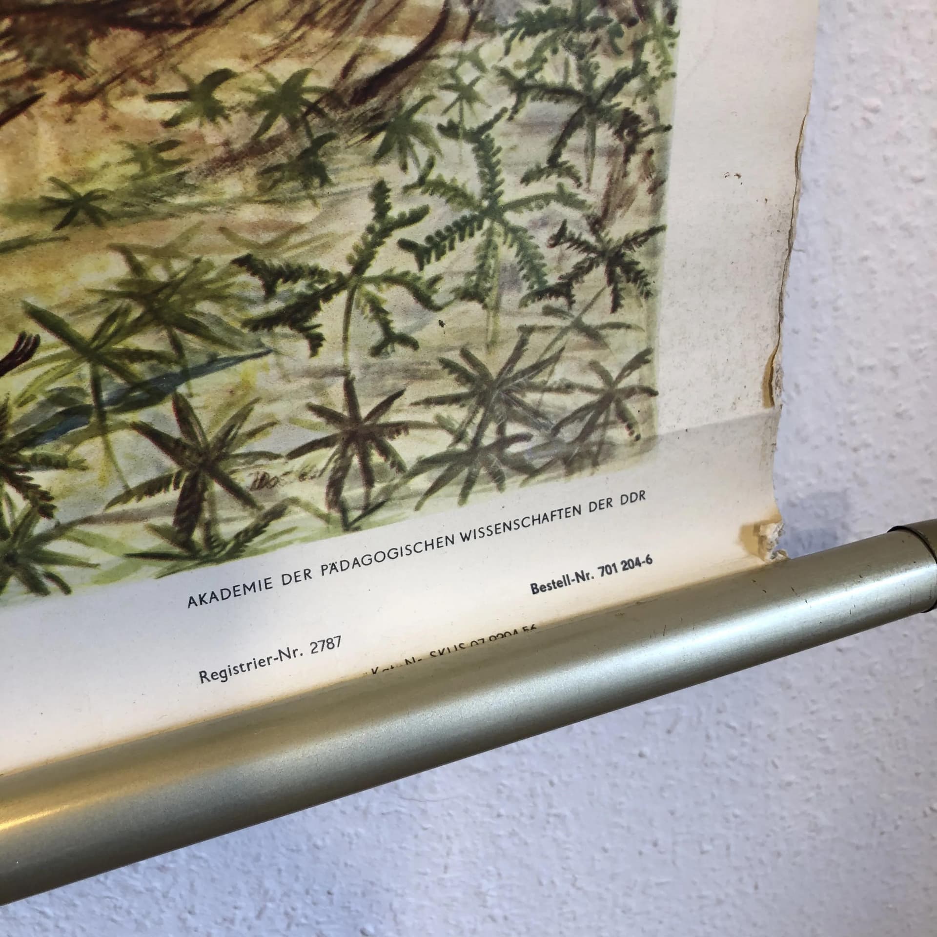 Tablica edukacyjna Okres Kreda, szary, papier, aut. H. Dost, Niemcy, lata 70. - 28116