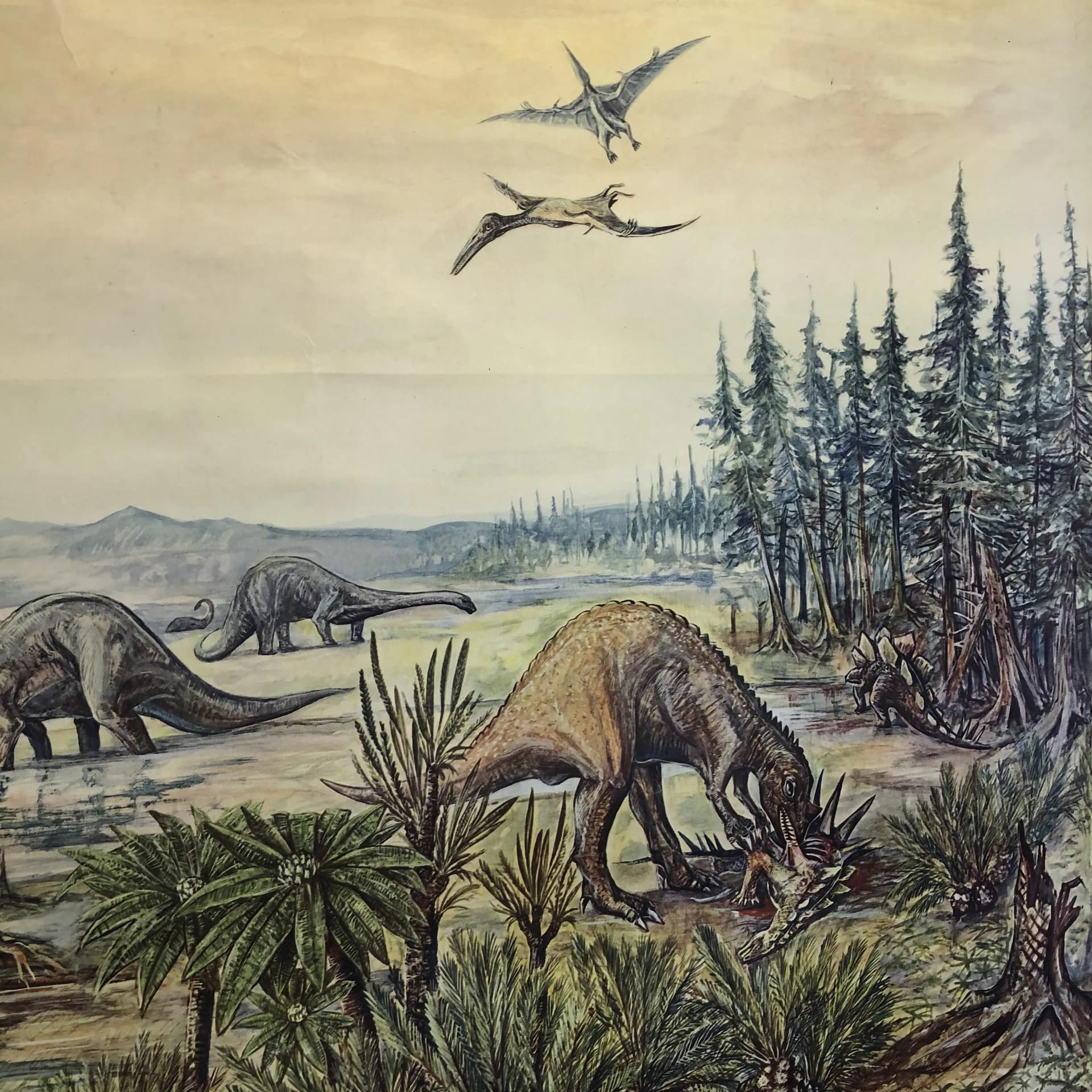 Tablica edukacyjna Okres Kreda, szary, papier, aut. H. Dost, Niemcy, lata 70. - 28118